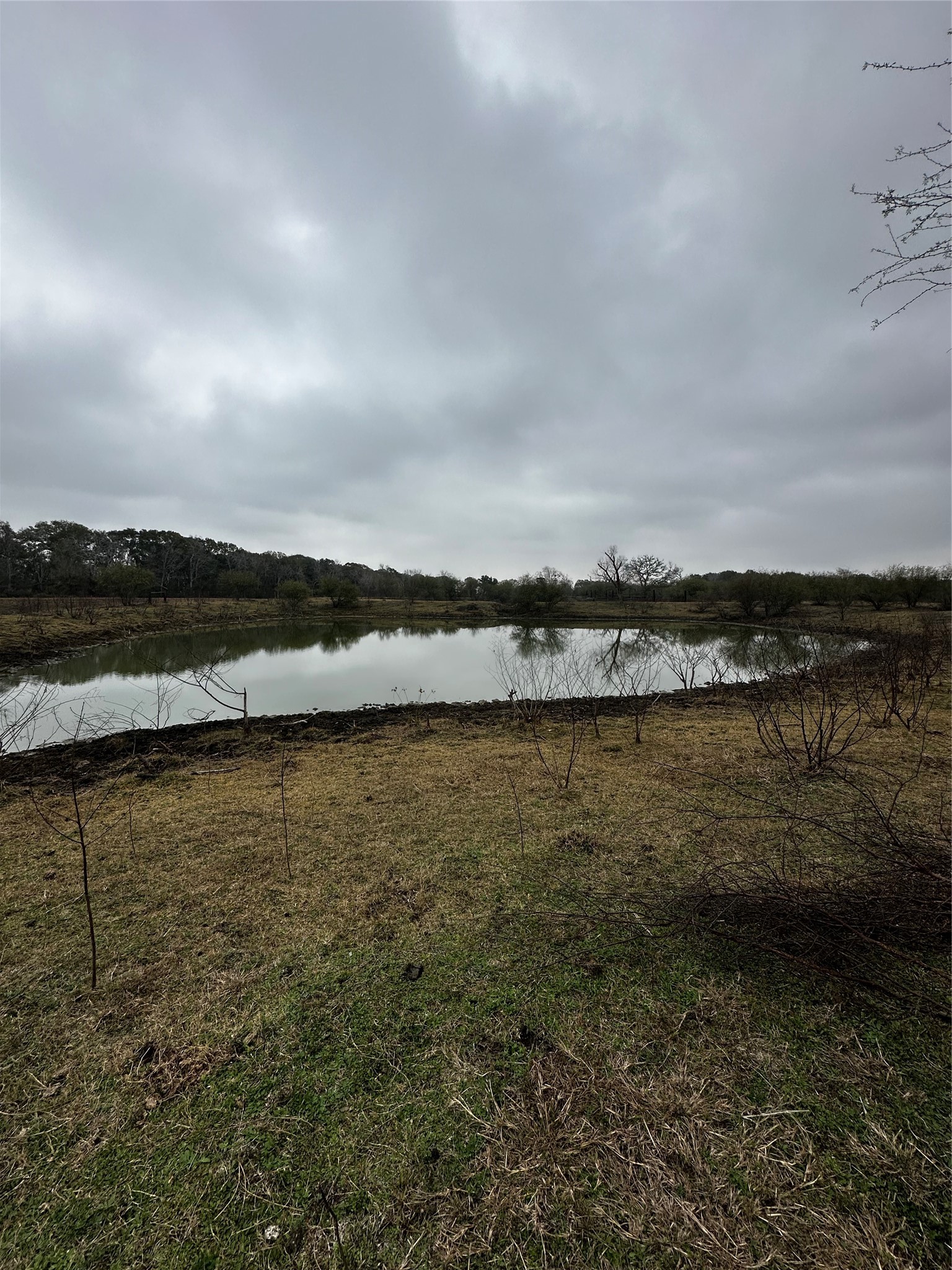 7413 Vojt Road Property Photo 6
