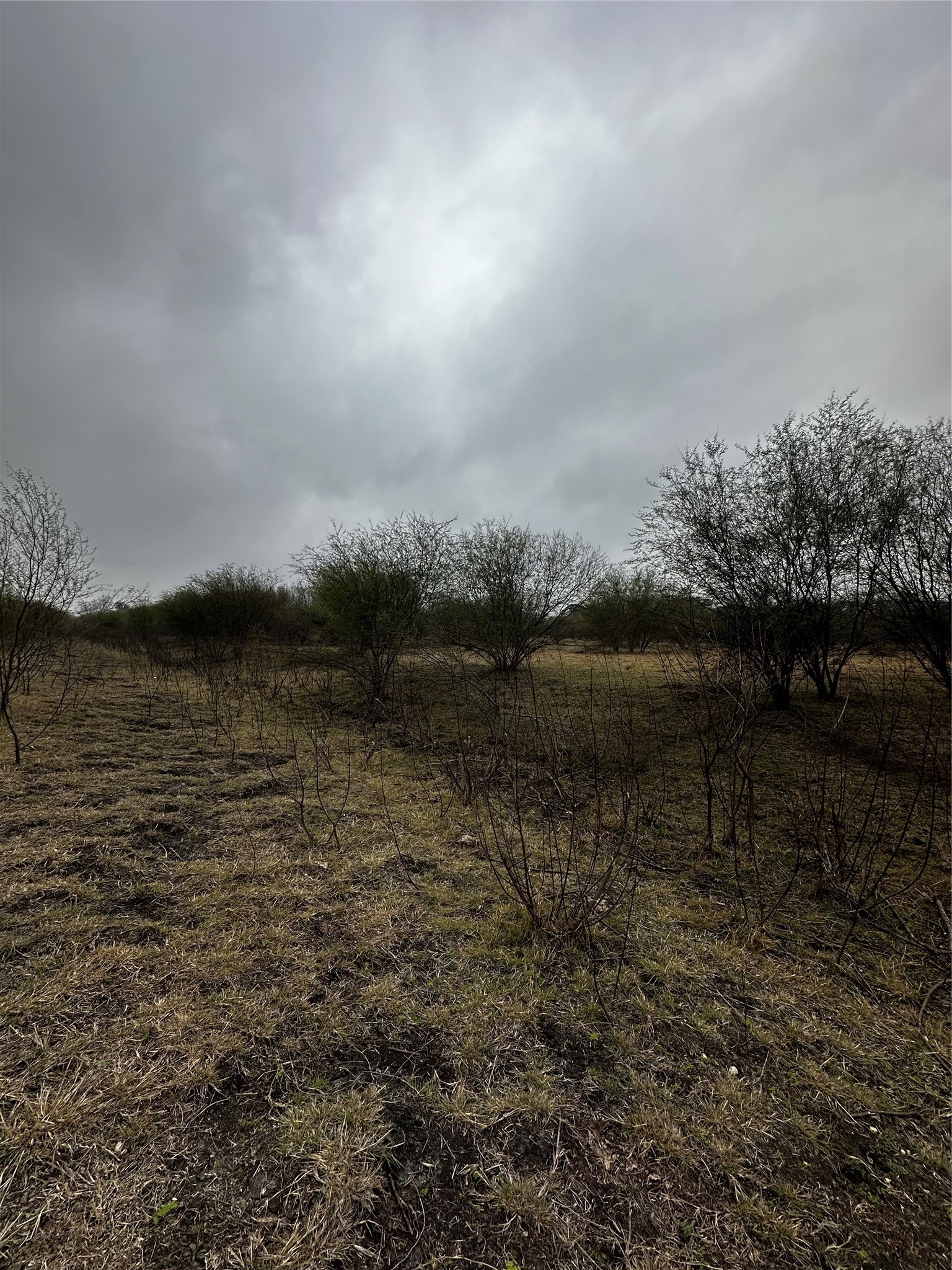 7413 Vojt Road Property Photo 8
