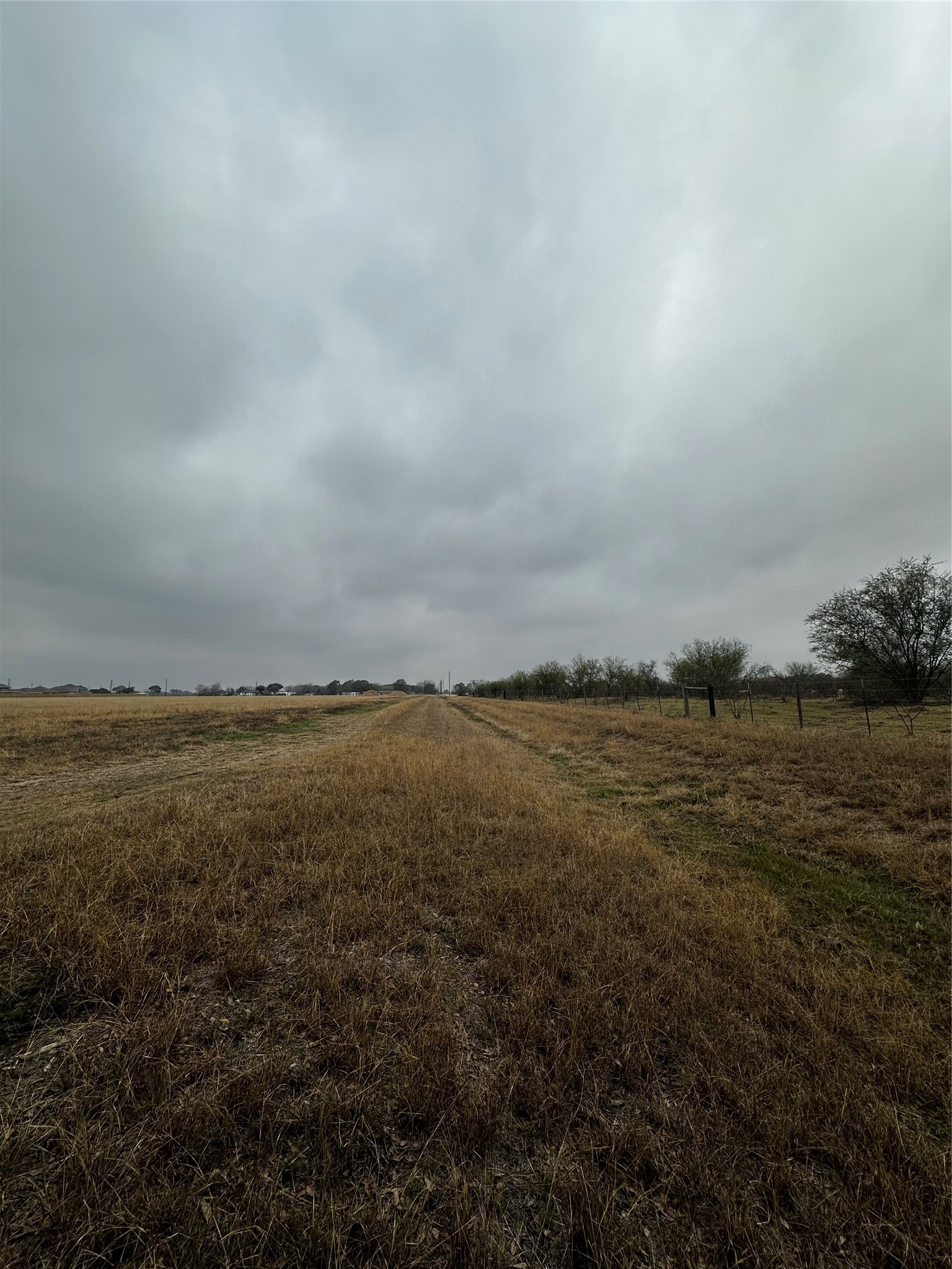 7413 Vojt Road Property Photo 9