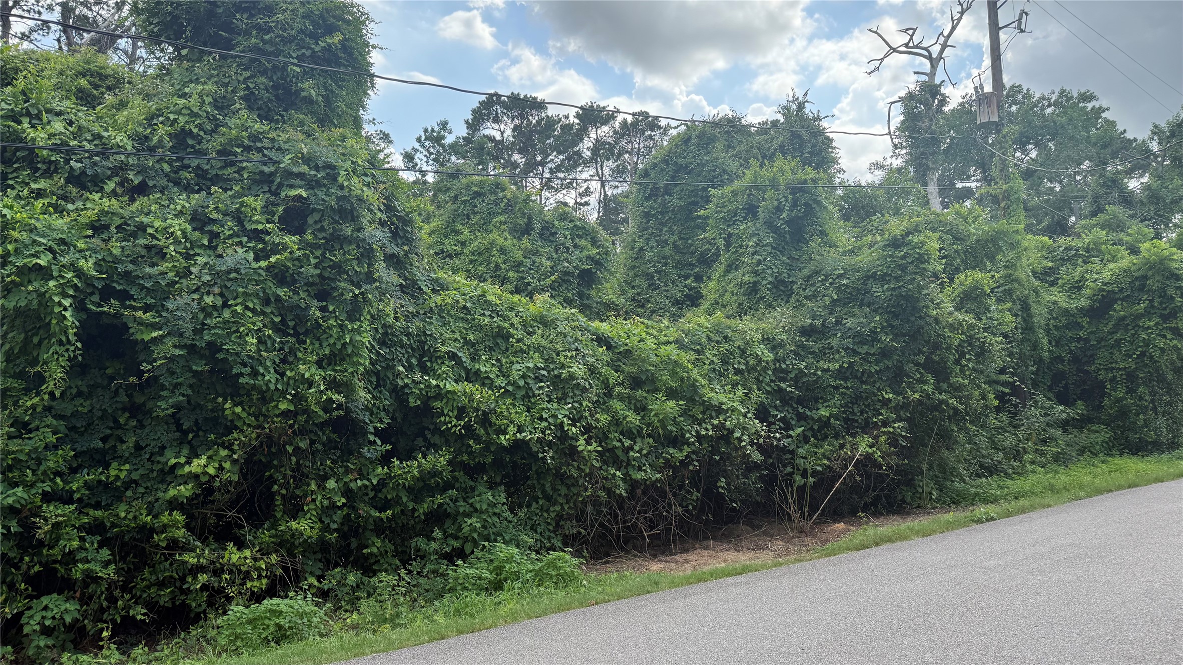 0 Timber Lakes Drive Property Photo 4