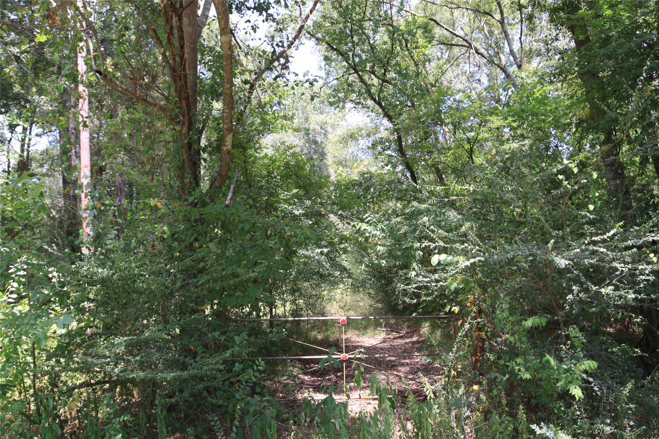Tbd Dove Creek Drive Property Photo 4