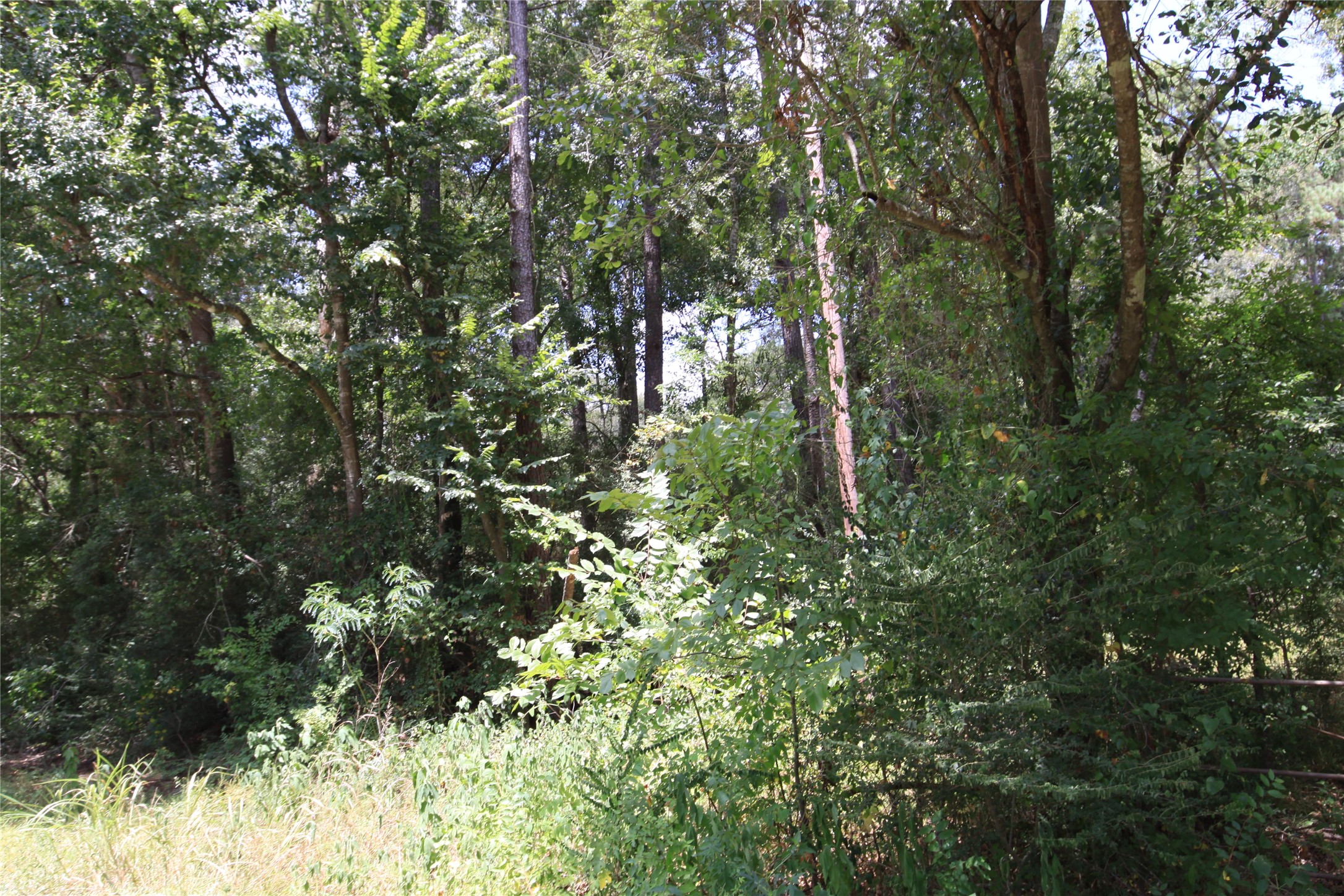 Tbd Dove Creek Drive Property Photo 5