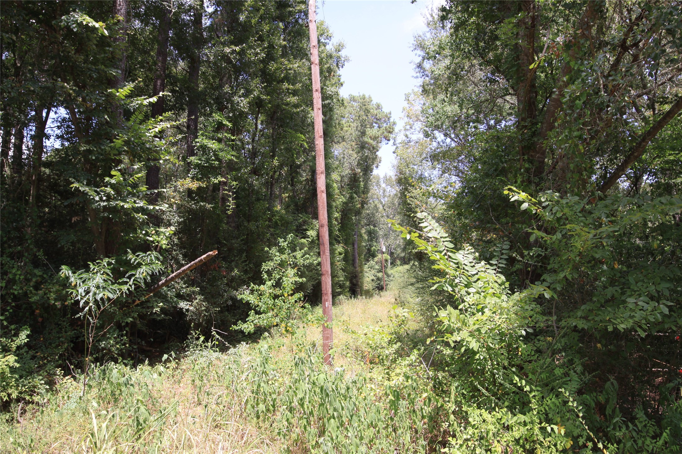 Tbd Dove Creek Drive Property Photo 6