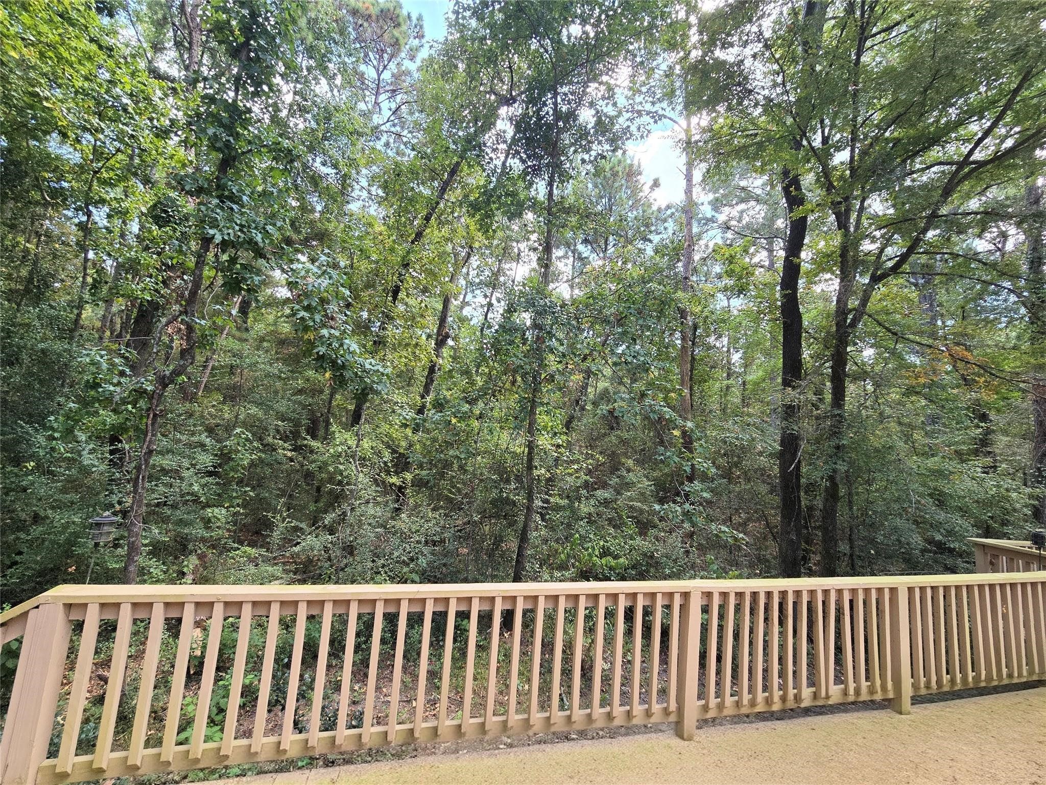 573 Bluebonnet Property Photo 5