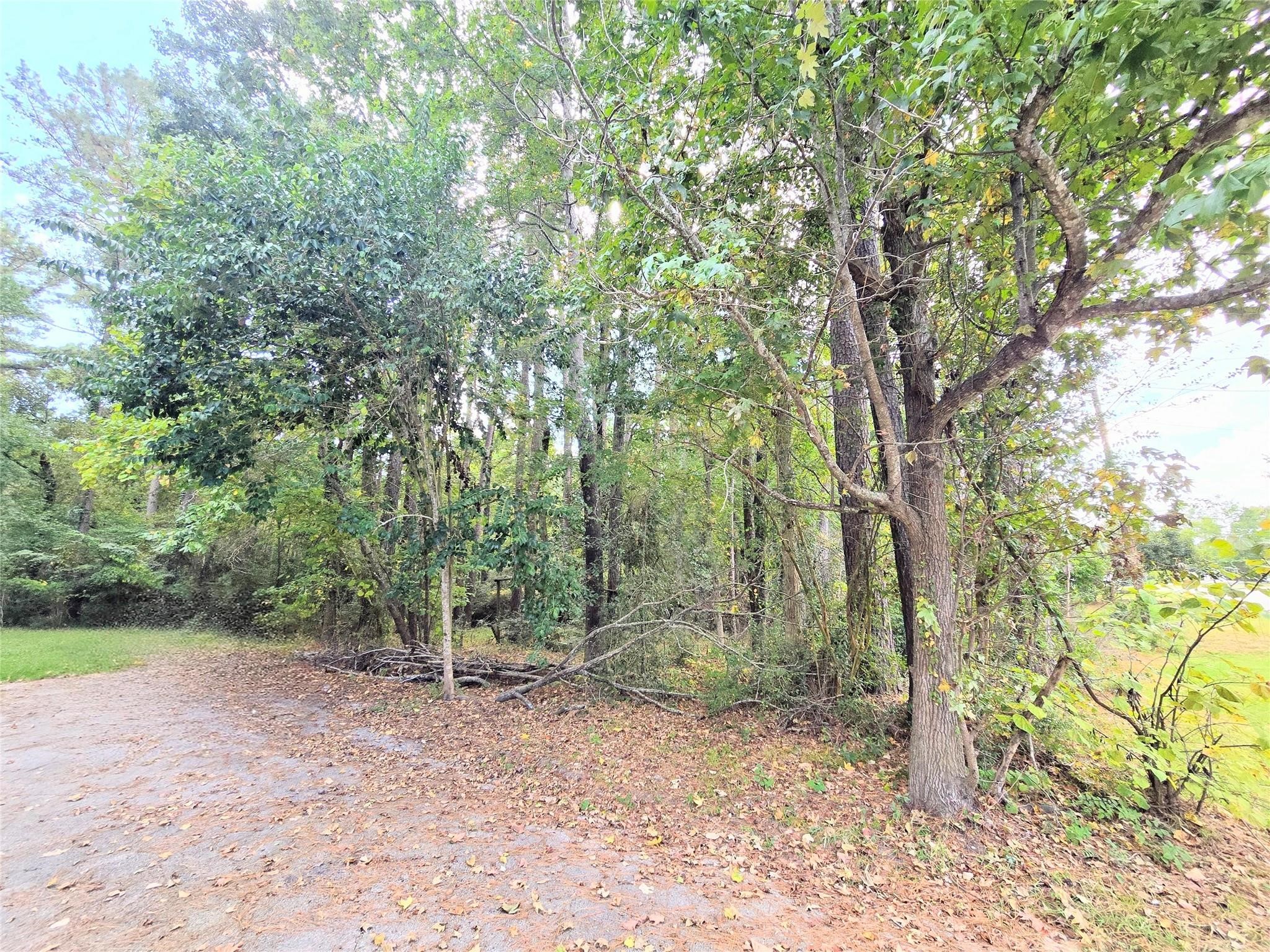 573 Bluebonnet Property Photo 10