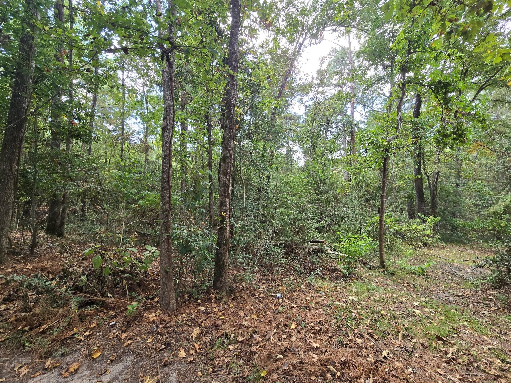 573 Bluebonnet Property Photo 11