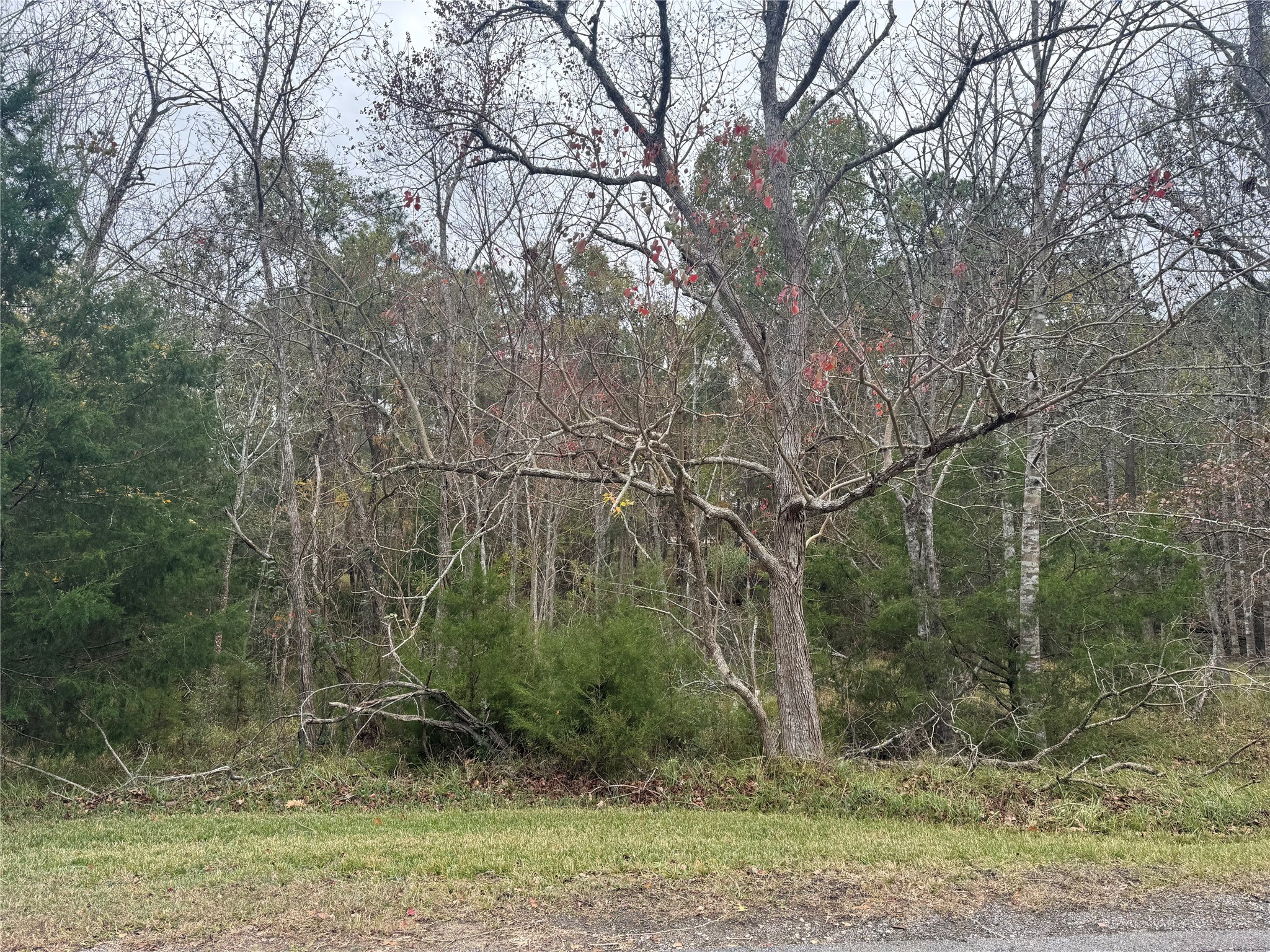 22 S Forest Cove Loop Property Photo 1