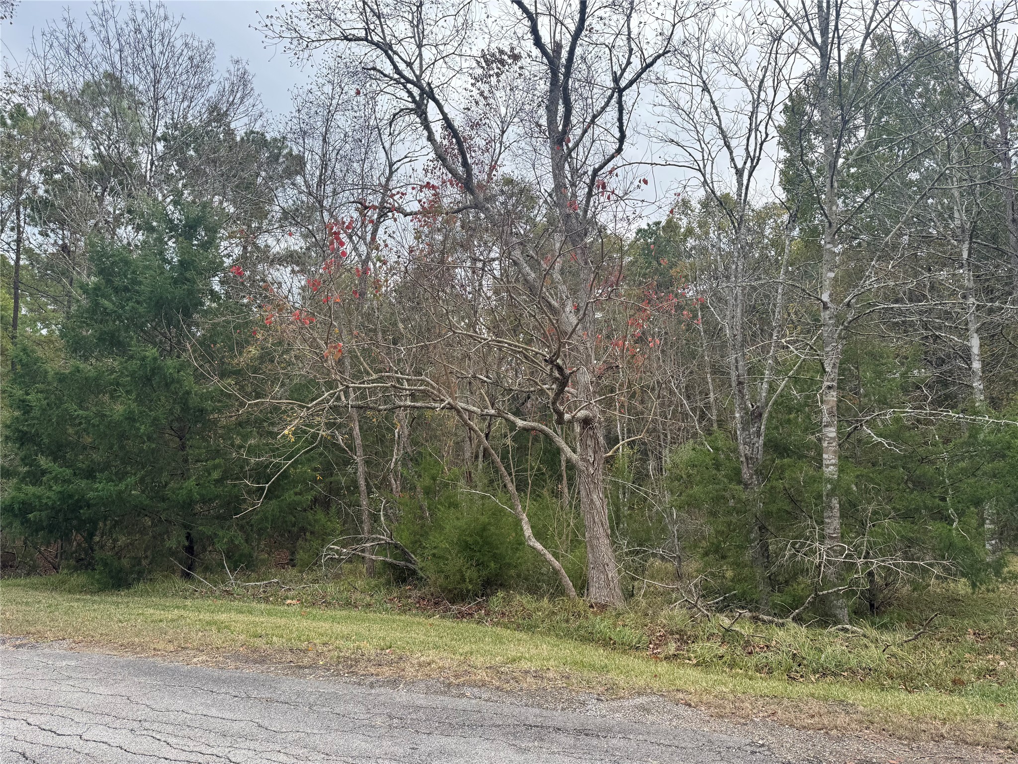 22 S Forest Cove Loop Property Photo 2