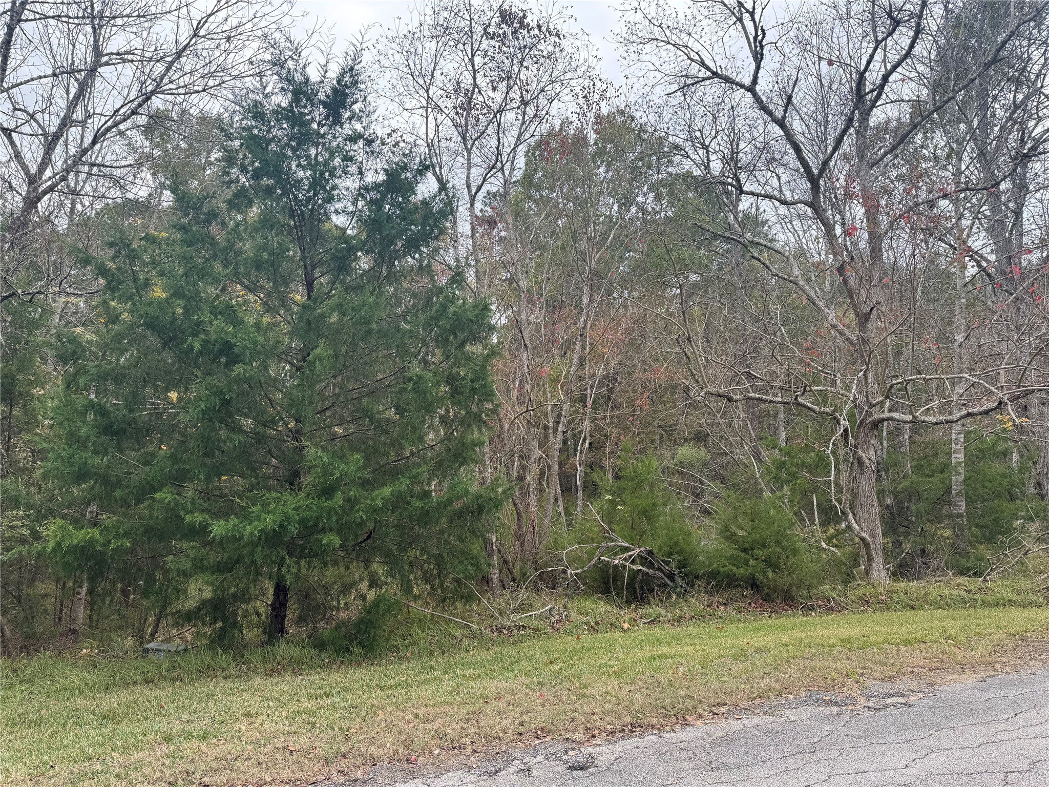 22 S Forest Cove Loop Property Photo 3
