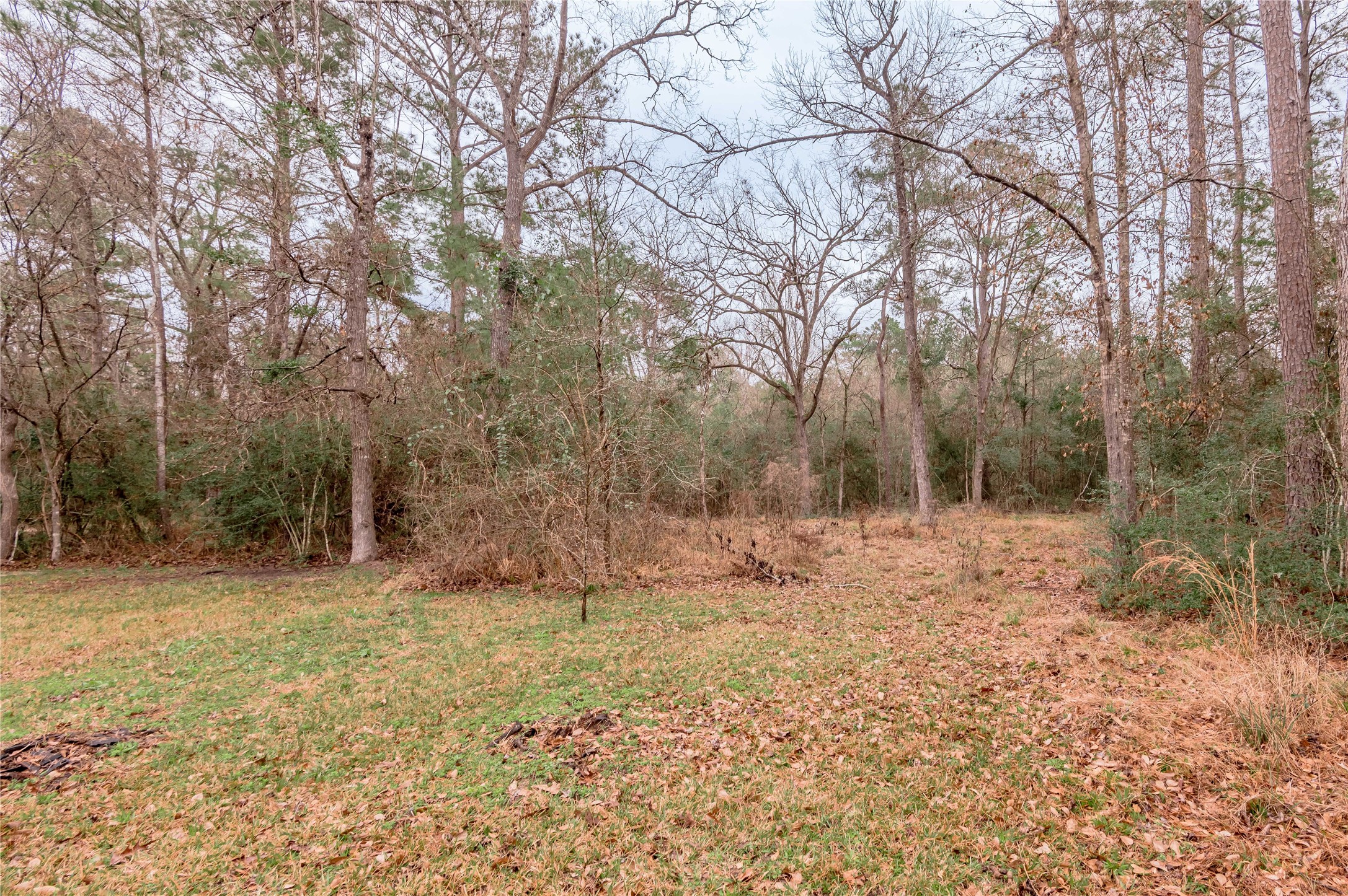 20 Tall Timbers Way Property Photo 39