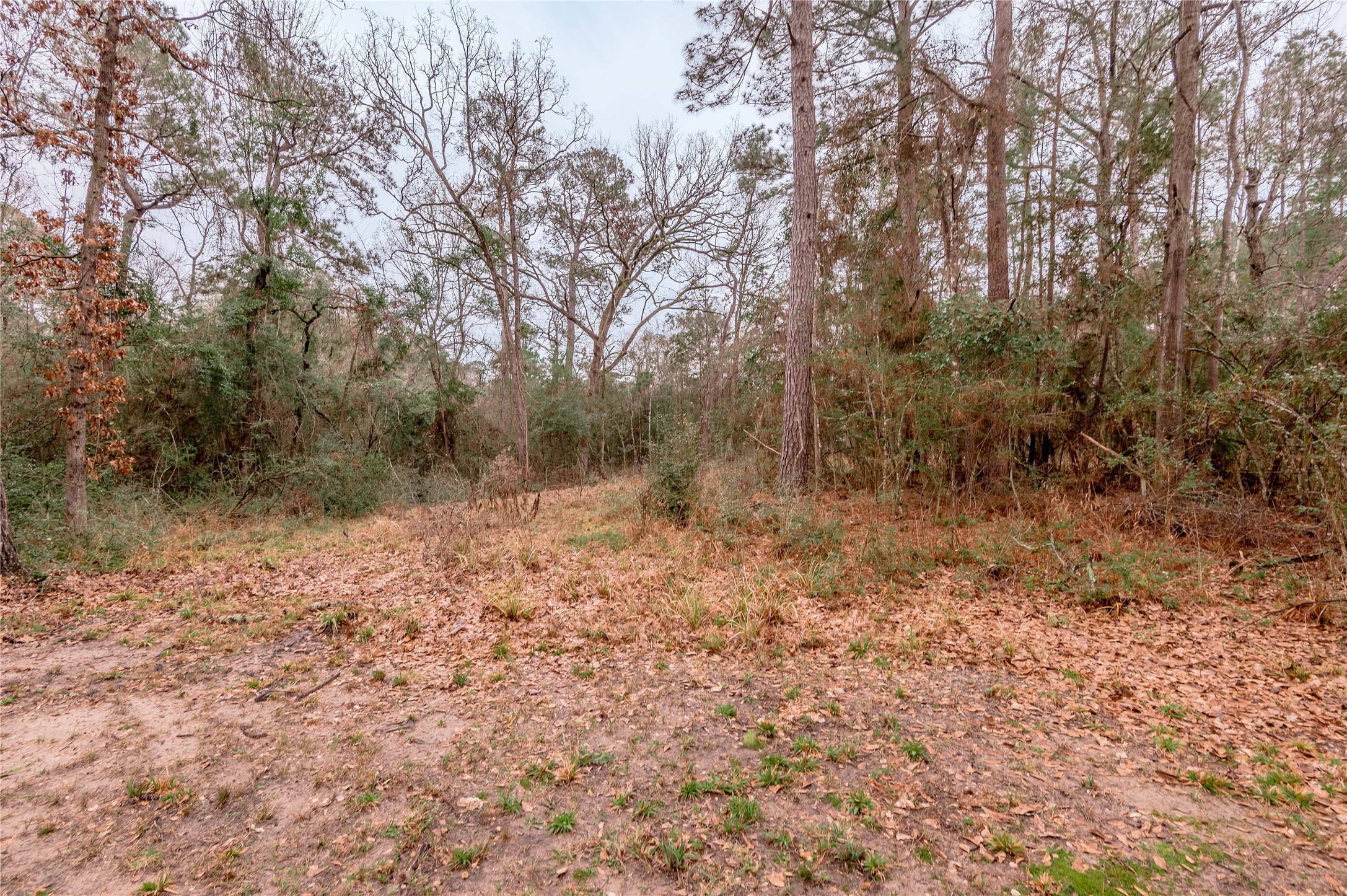 20 Tall Timbers Way Property Photo 40