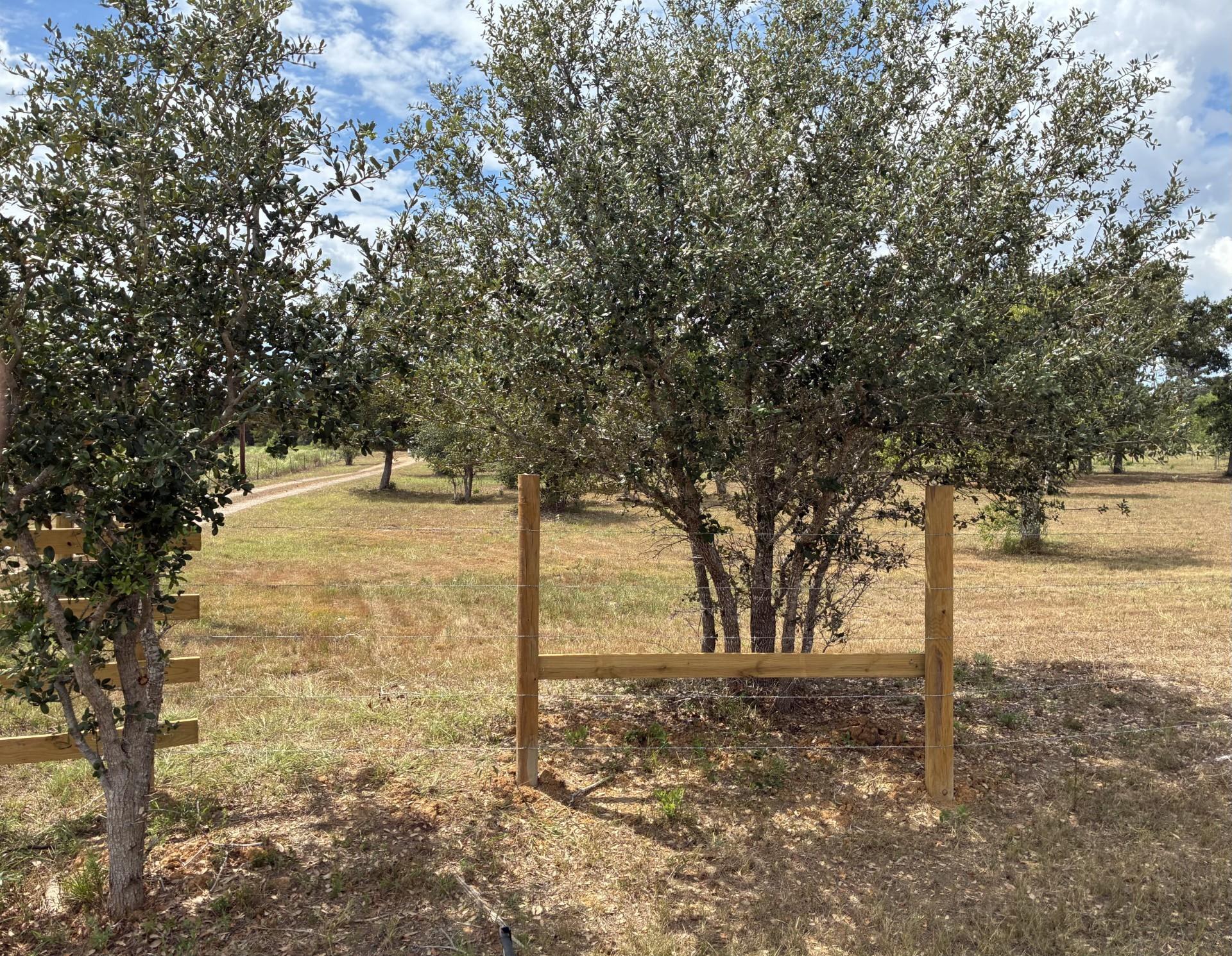 1160 Alleyton Road, Columbus Tx 78934 Property Photo 23