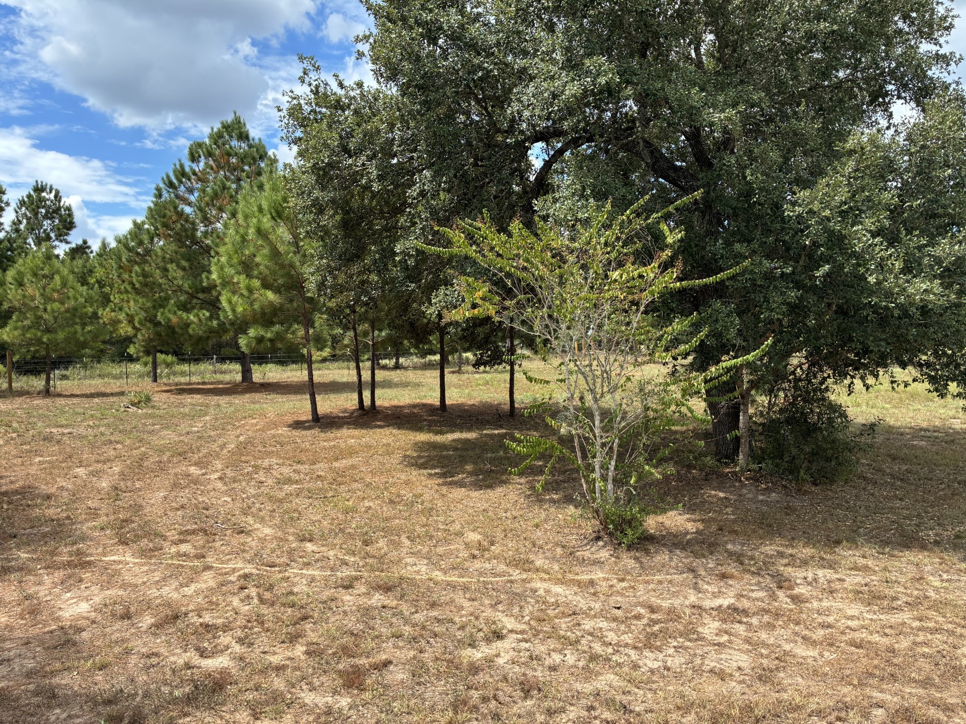 1160 Alleyton Road Property Photo 24
