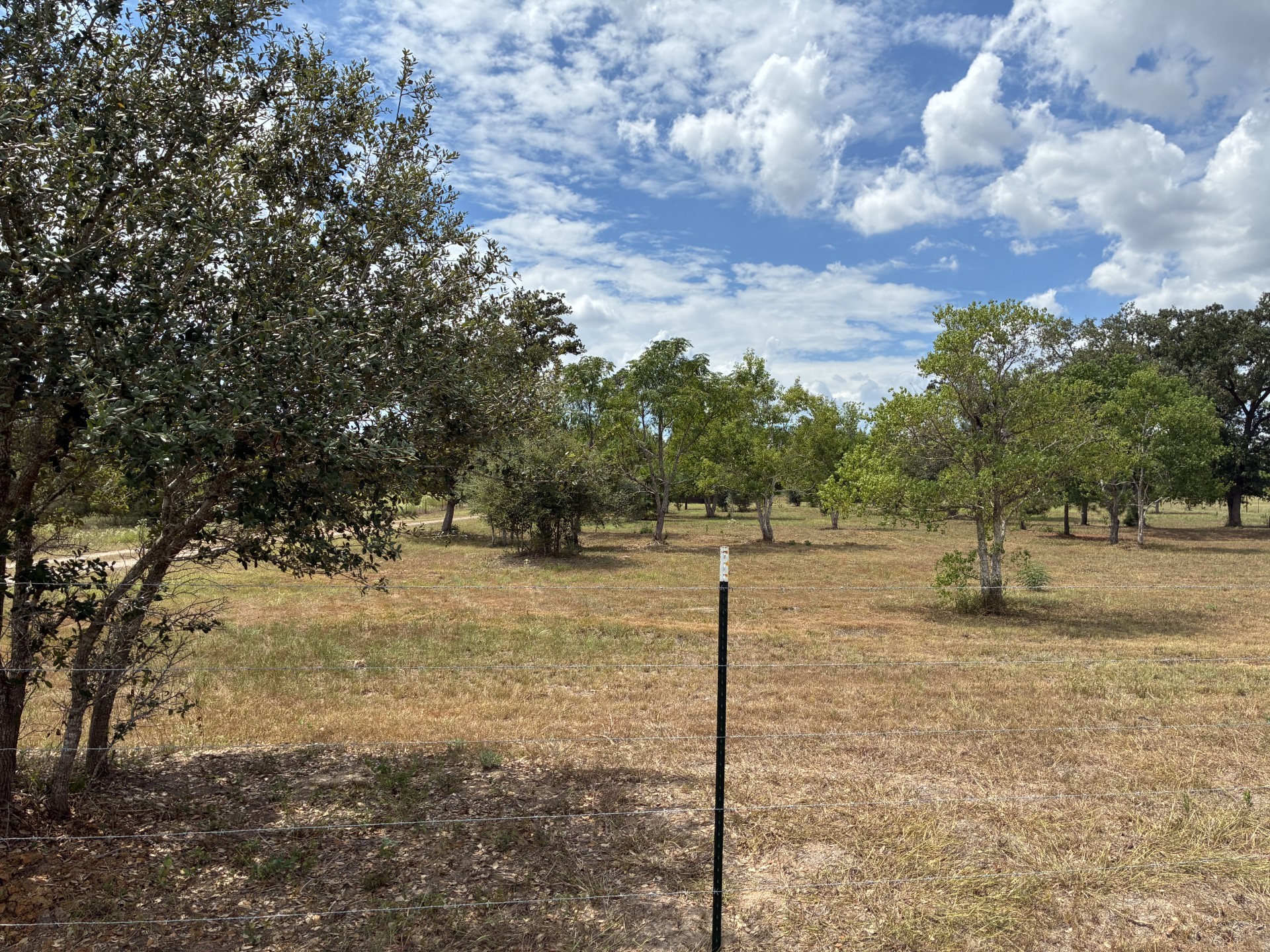 1160 Alleyton Road Property Photo 25