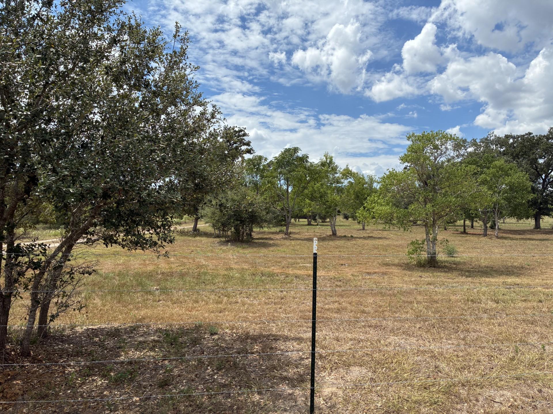 1160 Alleyton Road, Columbus Tx 78934 Property Photo 25
