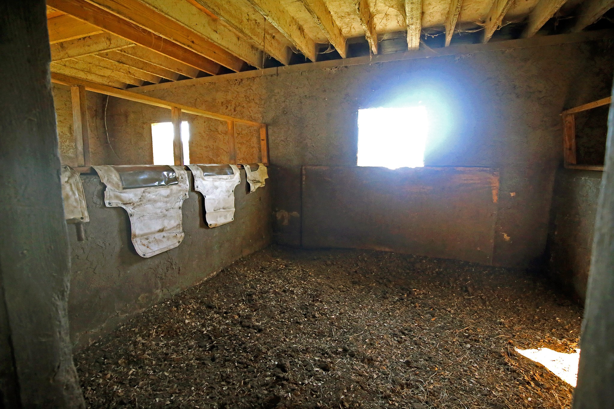 11016 4th 1/2 Street Property Photo 10