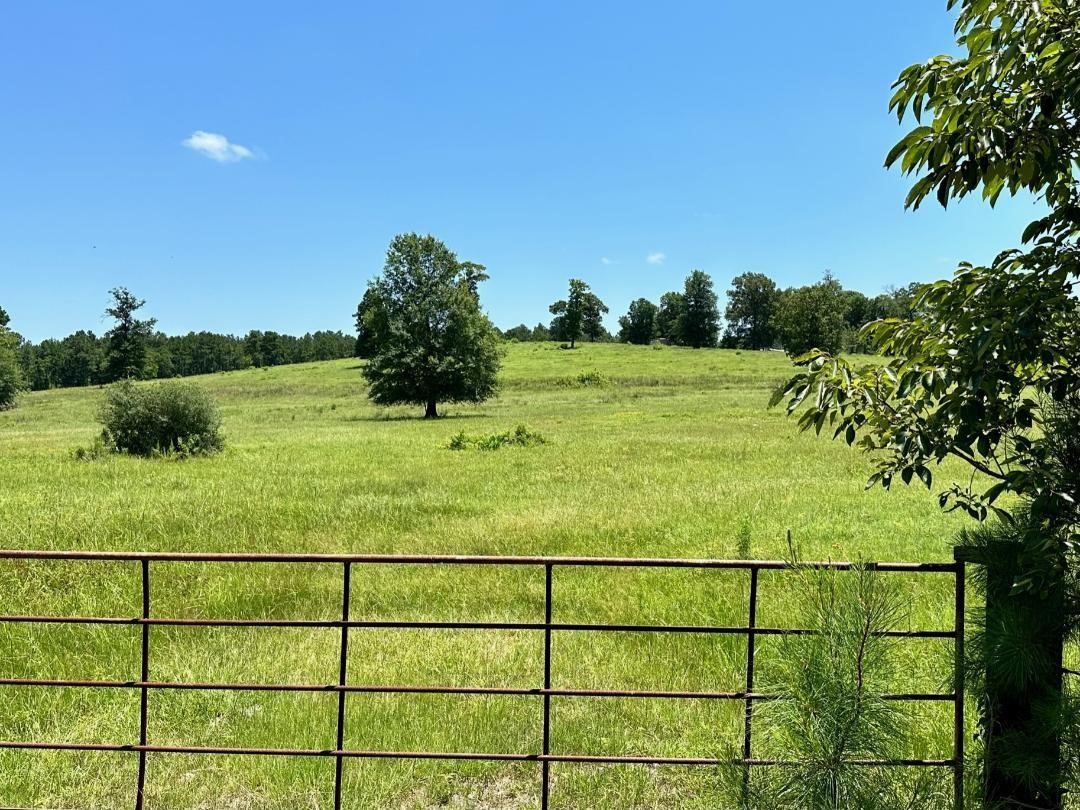 4590 W Us Highway 287 Property Photo 2