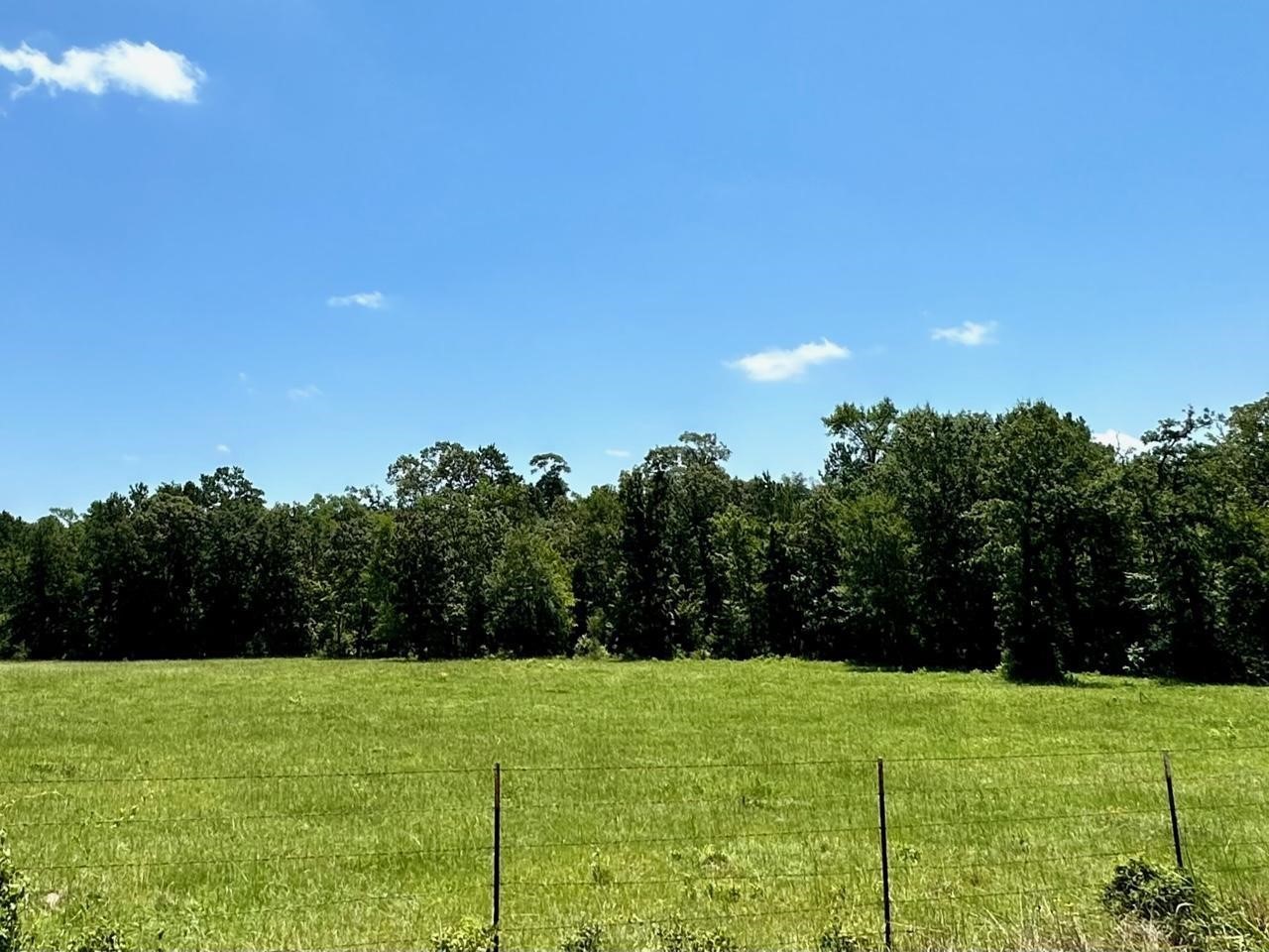 4590 W Us Highway 287 Property Photo 4