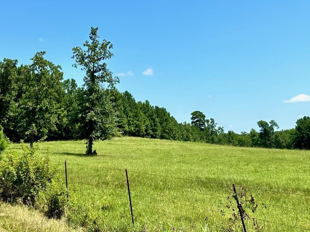 4590 W Us Highway 287 Property Photo 8