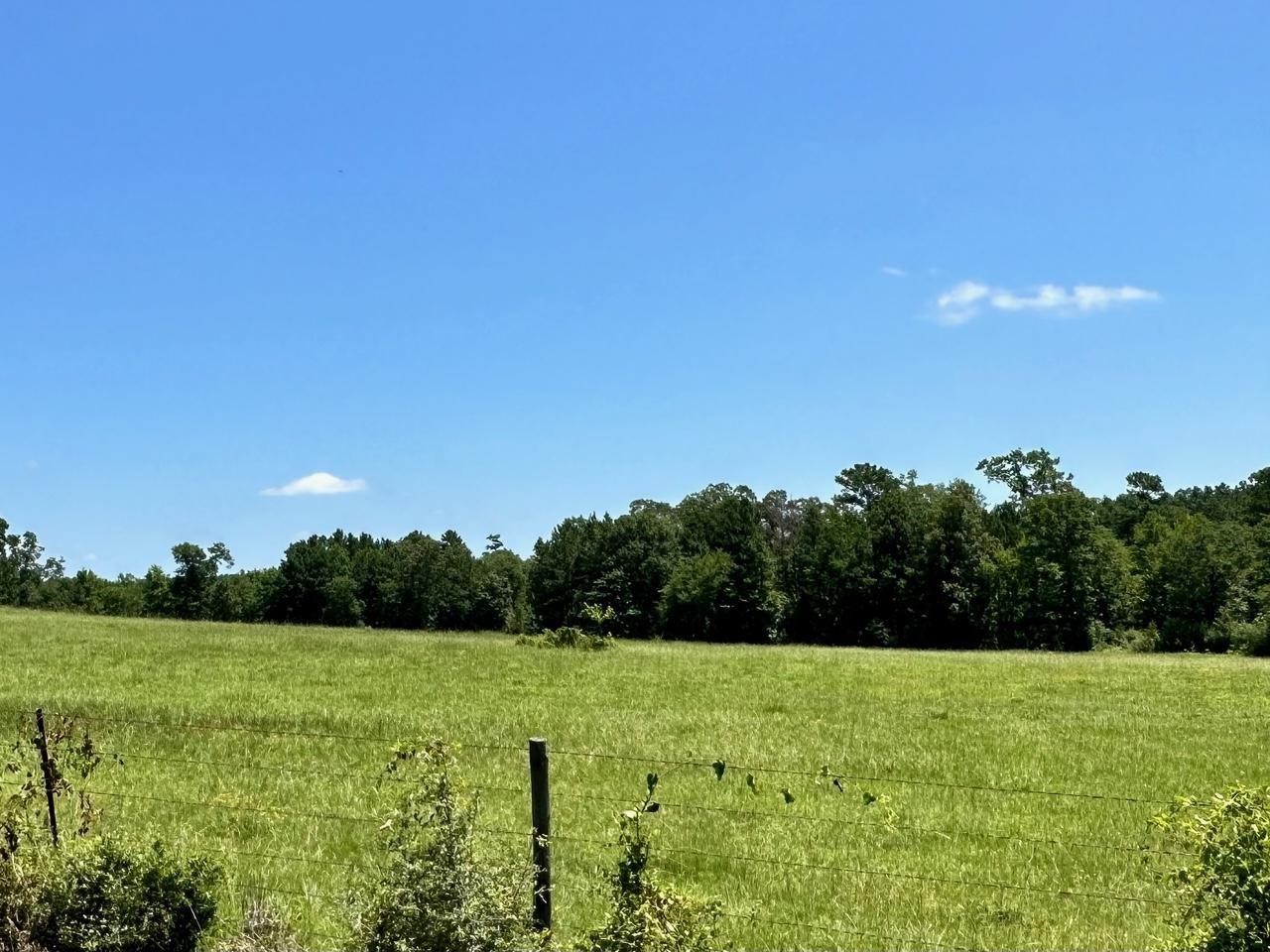 4590 W Us Highway 287 Property Photo 9