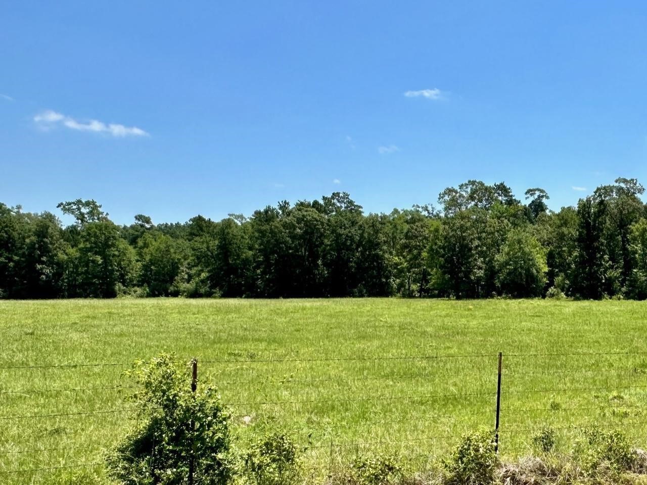 4590 W Us Highway 287 Property Photo 10