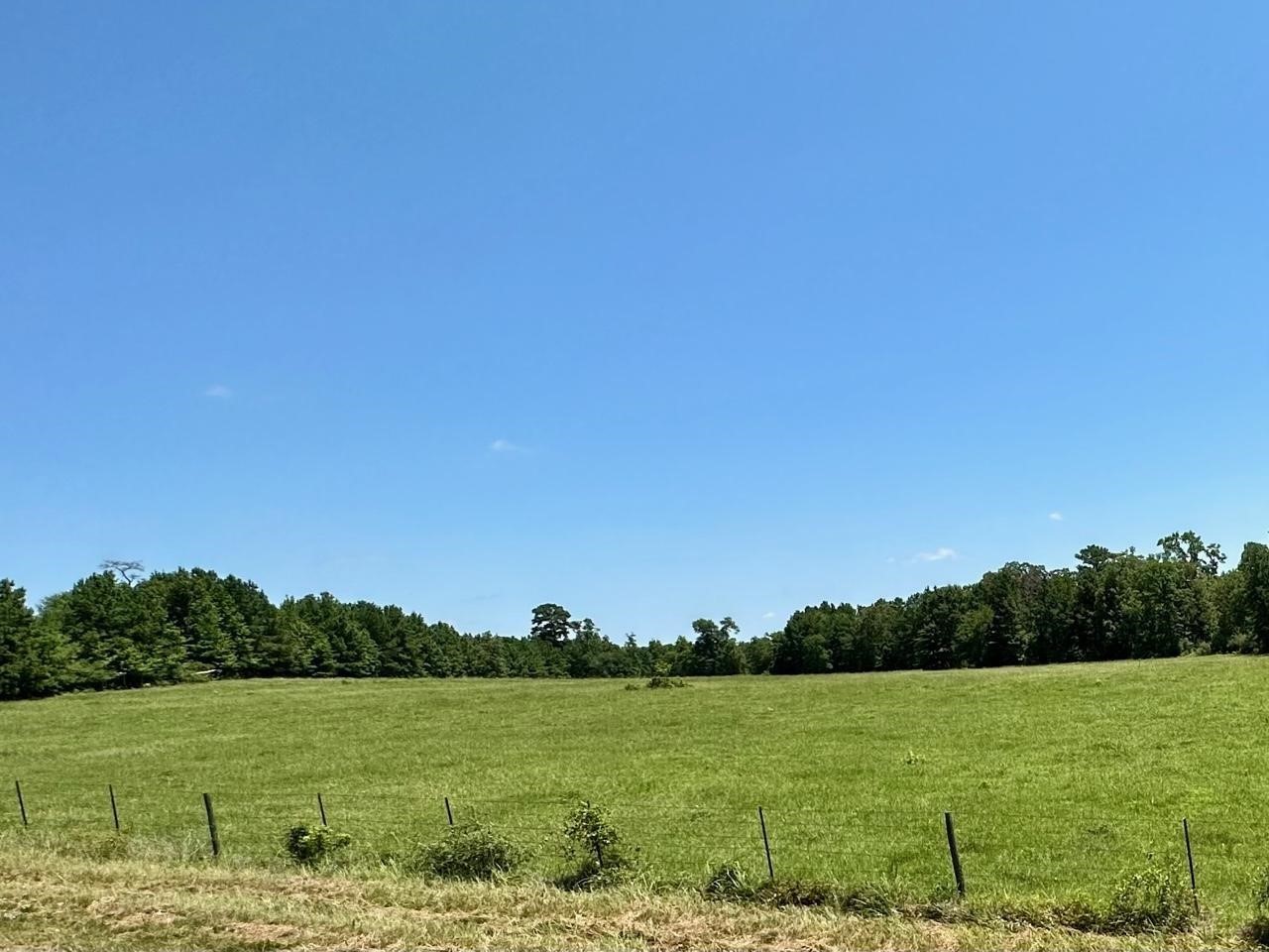 4590 W Us Highway 287 Property Photo 11
