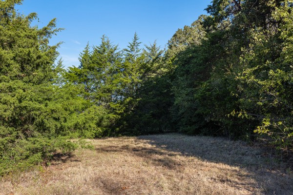 Tbd Cr 163 Property Photo 6