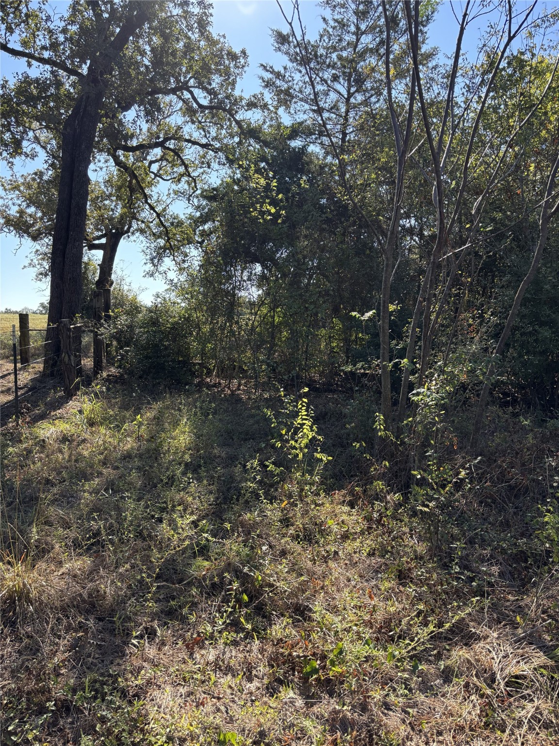 Tbd Cr 163 Property Photo 11