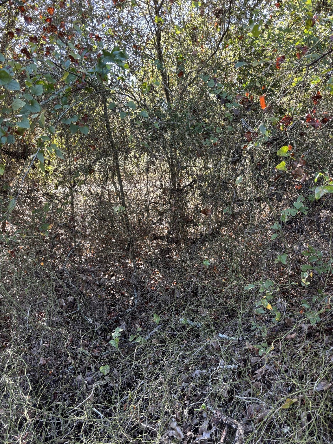 Tbd Cr 163 Property Photo 15
