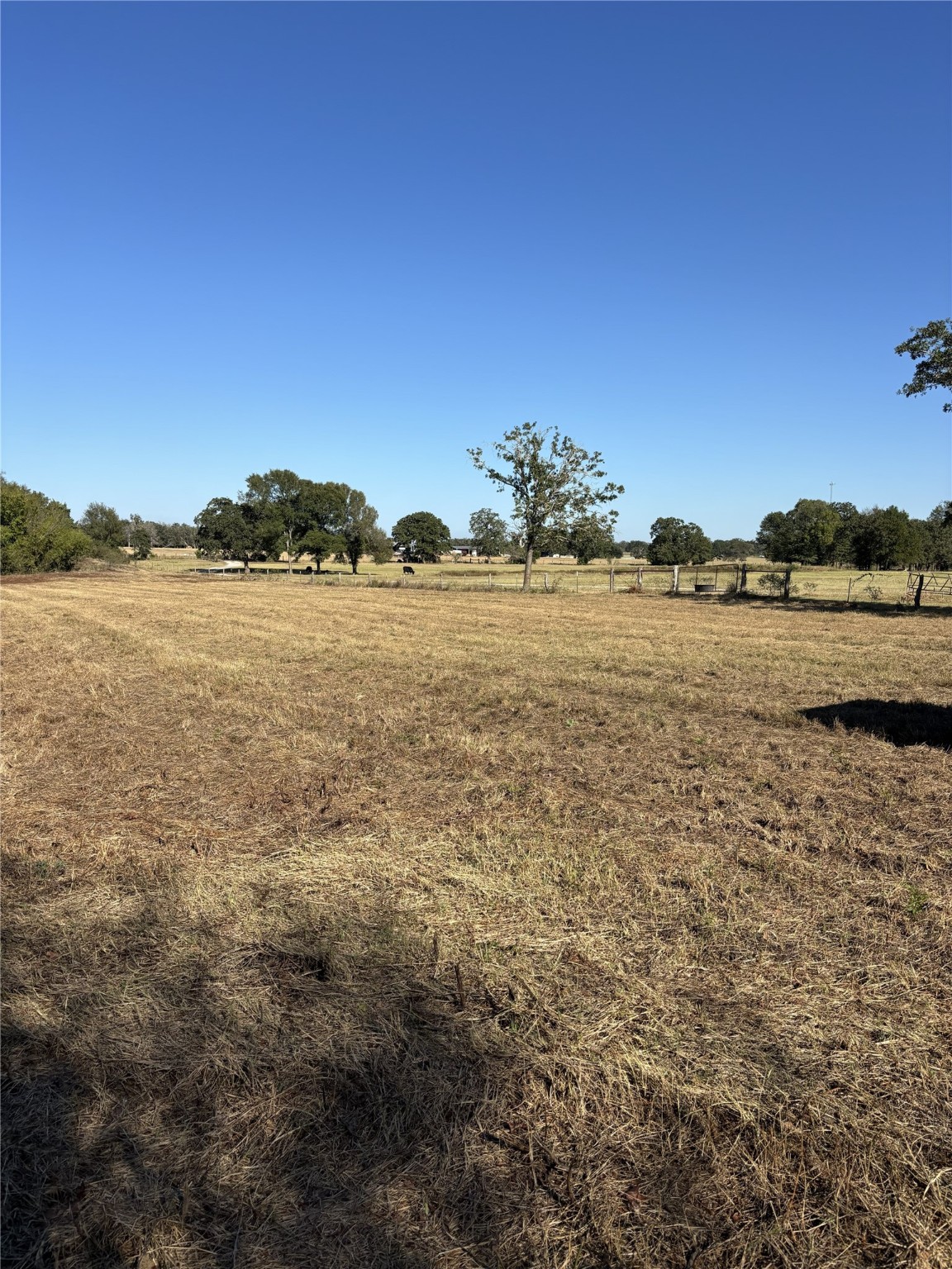Tbd Cr 163 Property Photo 17
