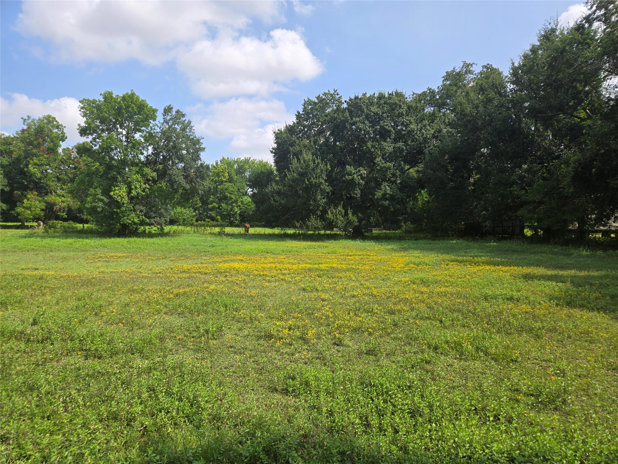 5620 Spindle Drive Property Photo 4
