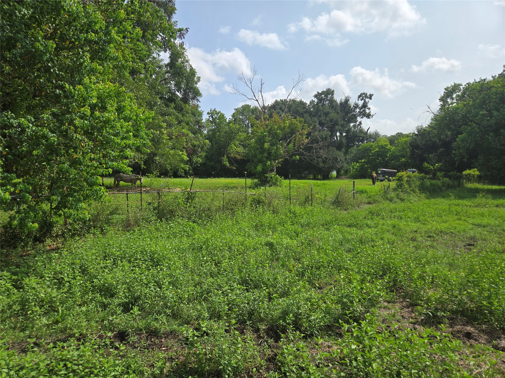 5620 Spindle Drive Property Photo 8