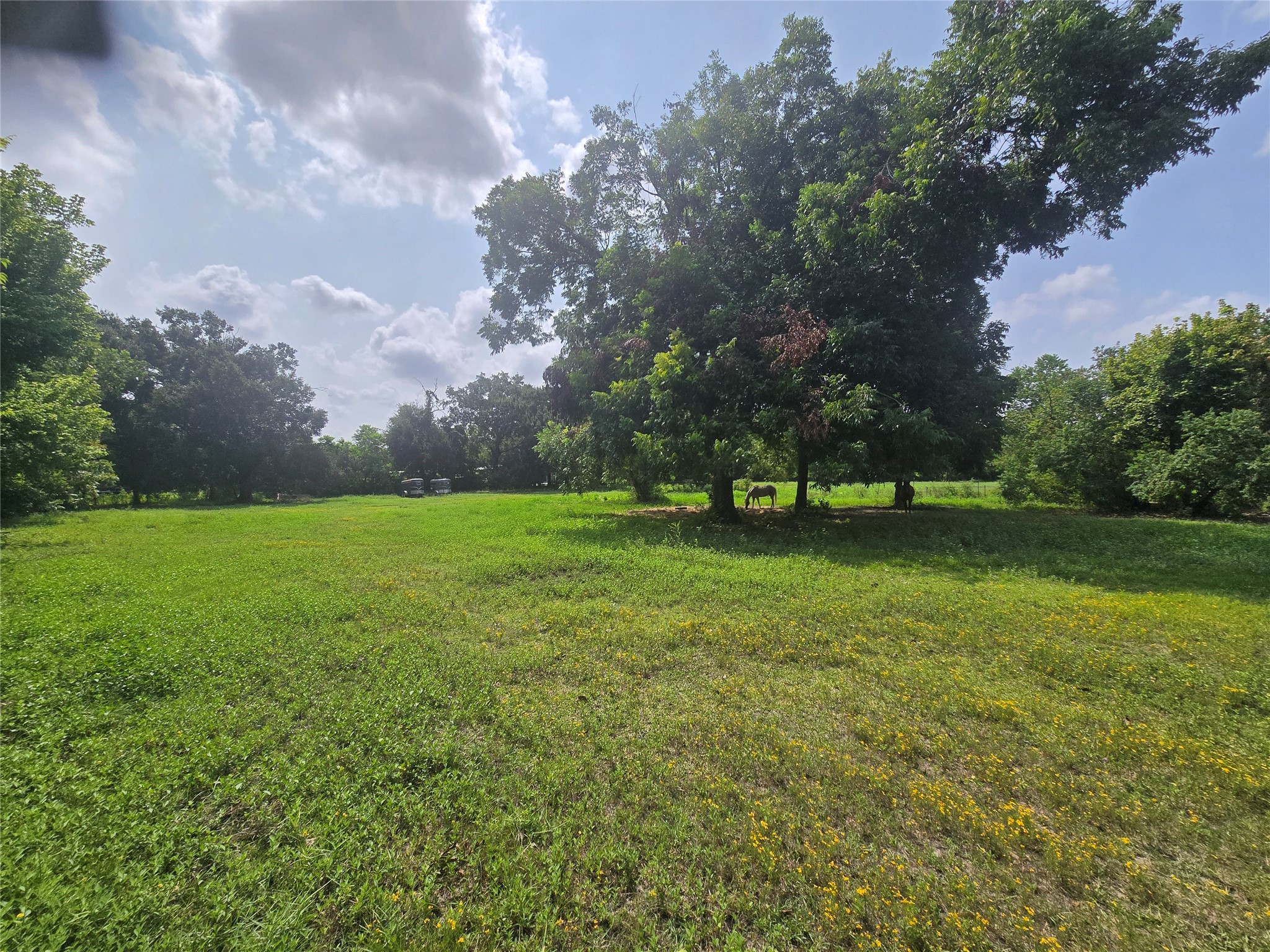 5620 Spindle Drive Property Photo 15