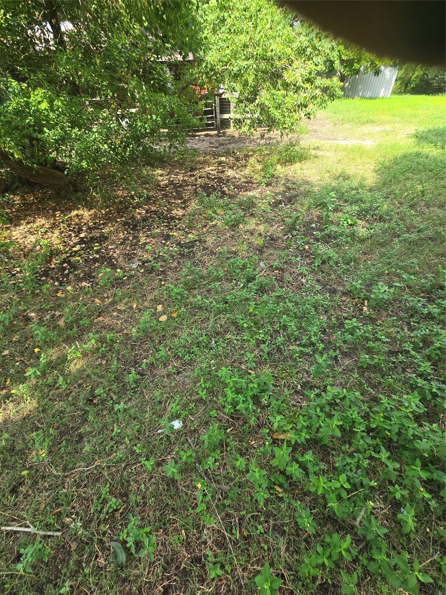 5620 Spindle Drive Property Photo 16