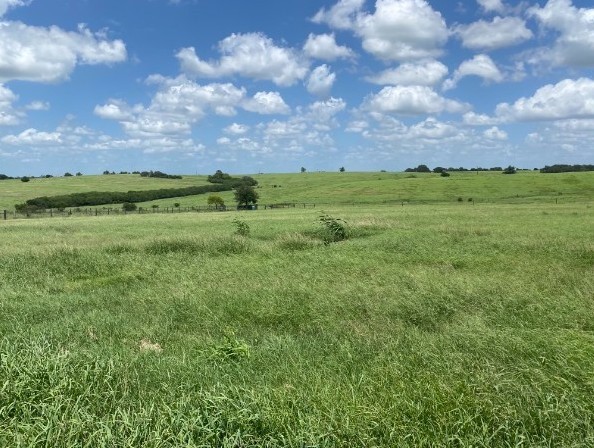 2110 Immenhauser Road Property Photo 28
