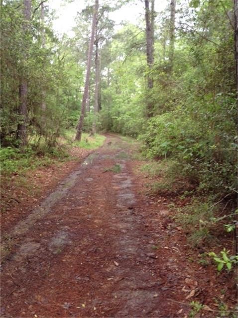 1800 County Road Property Photo 1