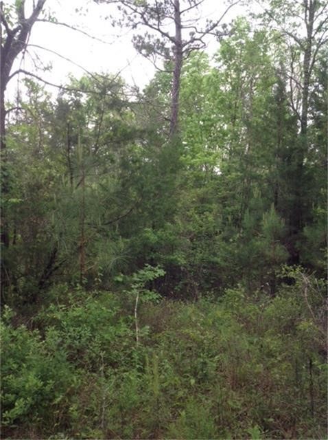 1800 County Road Property Photo 2