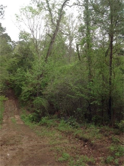 1800 County Road Property Photo 3