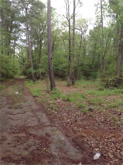 1800 County Road Property Photo 5