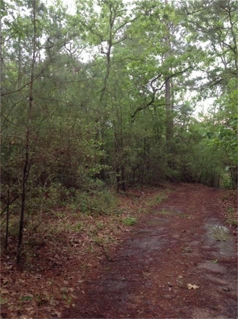 1800 County Road Property Photo 7