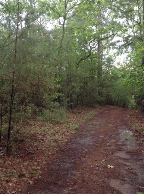 1800 County Road Property Photo 8