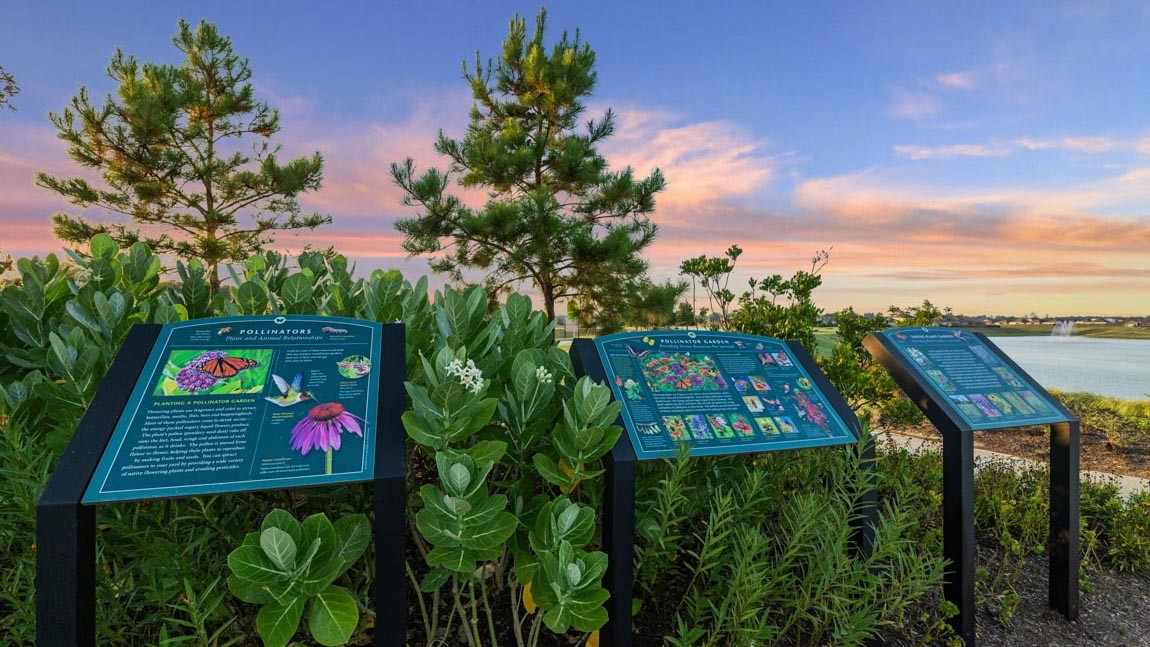 20727 Central Concave Drive Property Photo 30