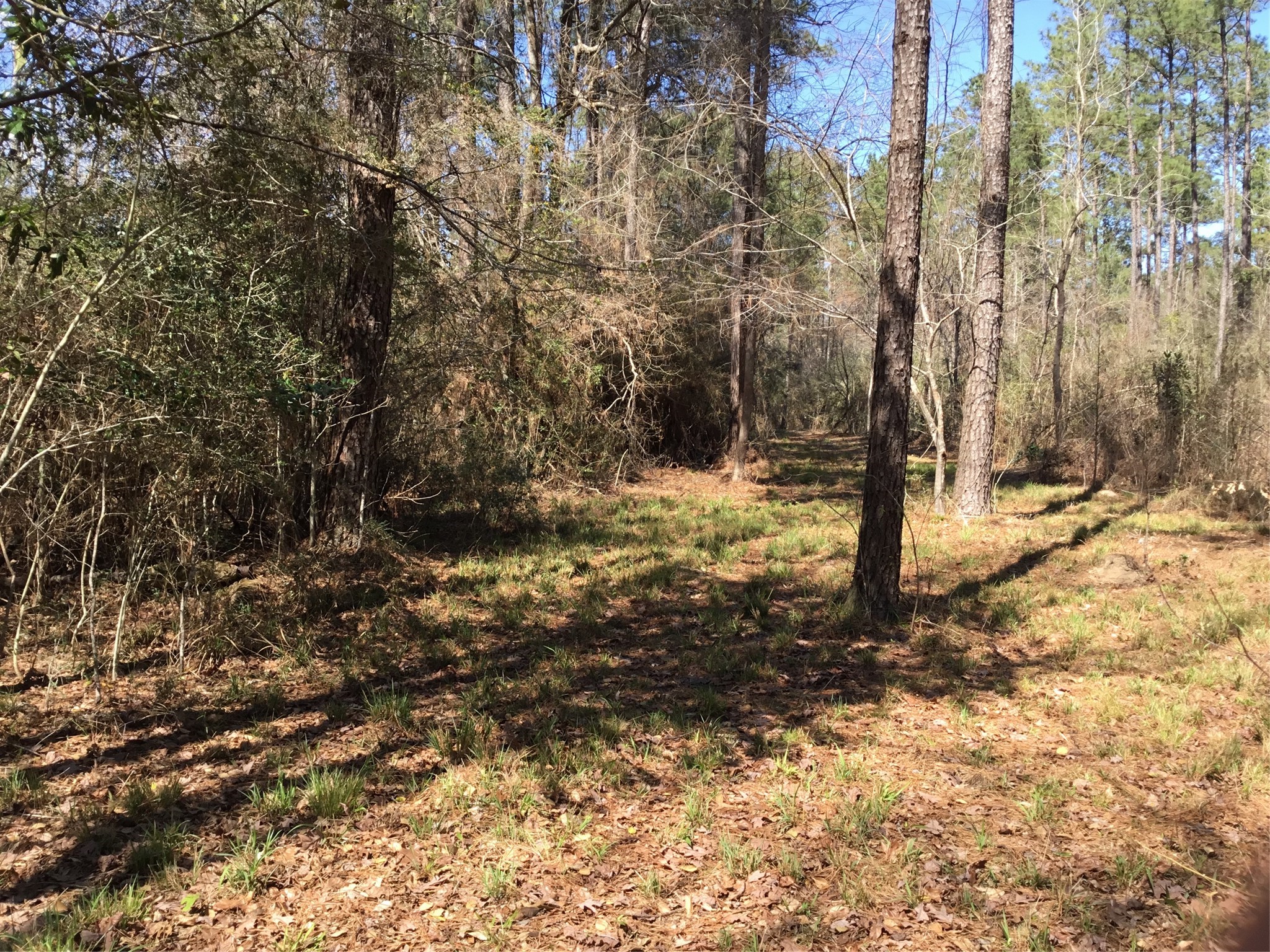 0000 Buffalo Lane Property Photo 1