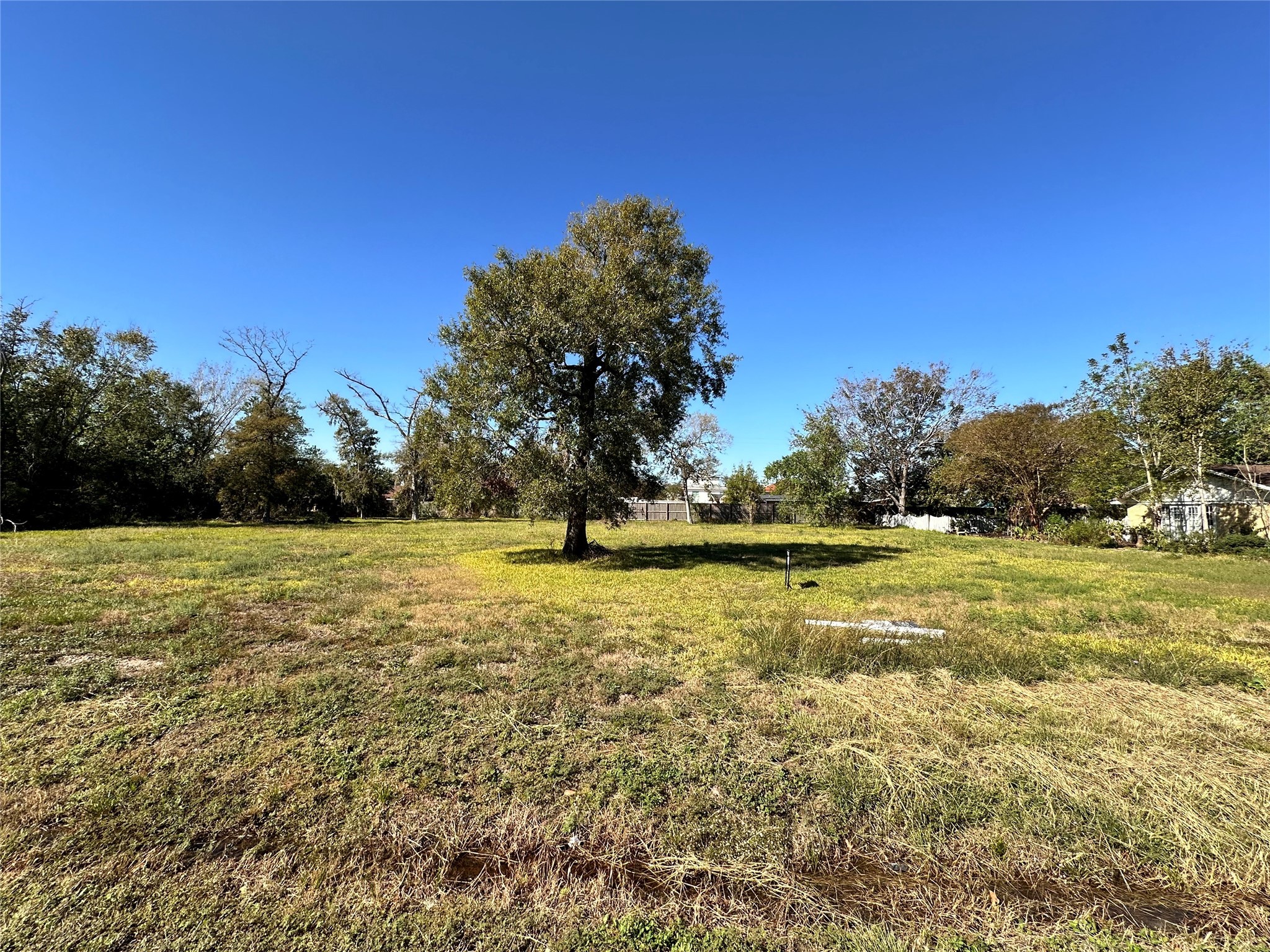 0 Yaupon Drive Property Photo 1