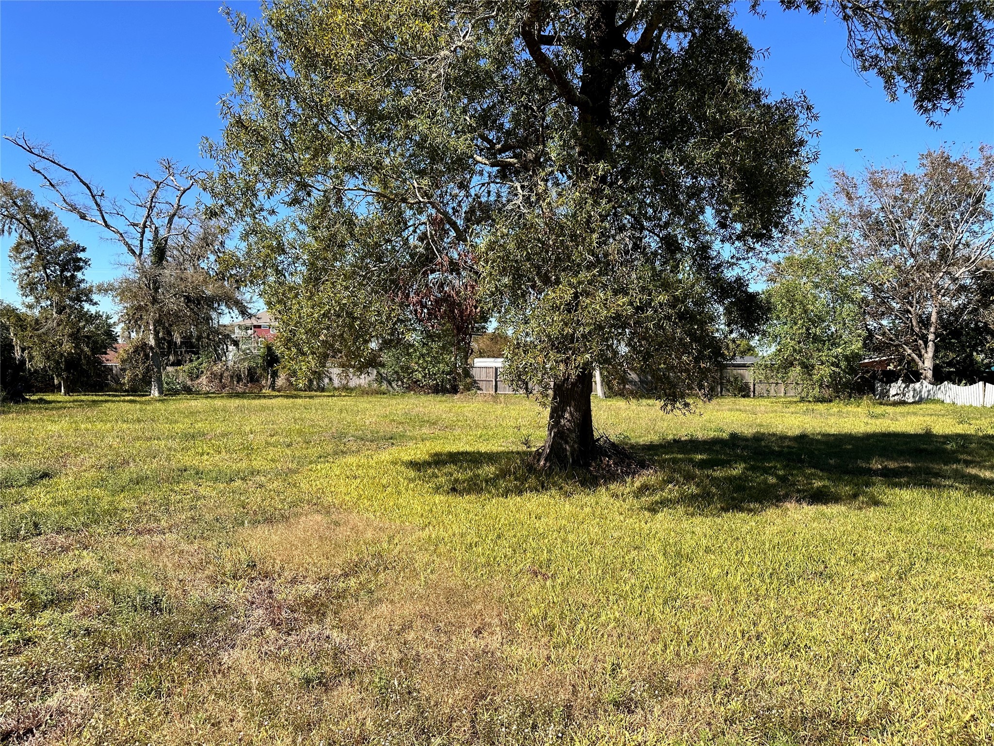 0 Yaupon Drive Property Photo 3