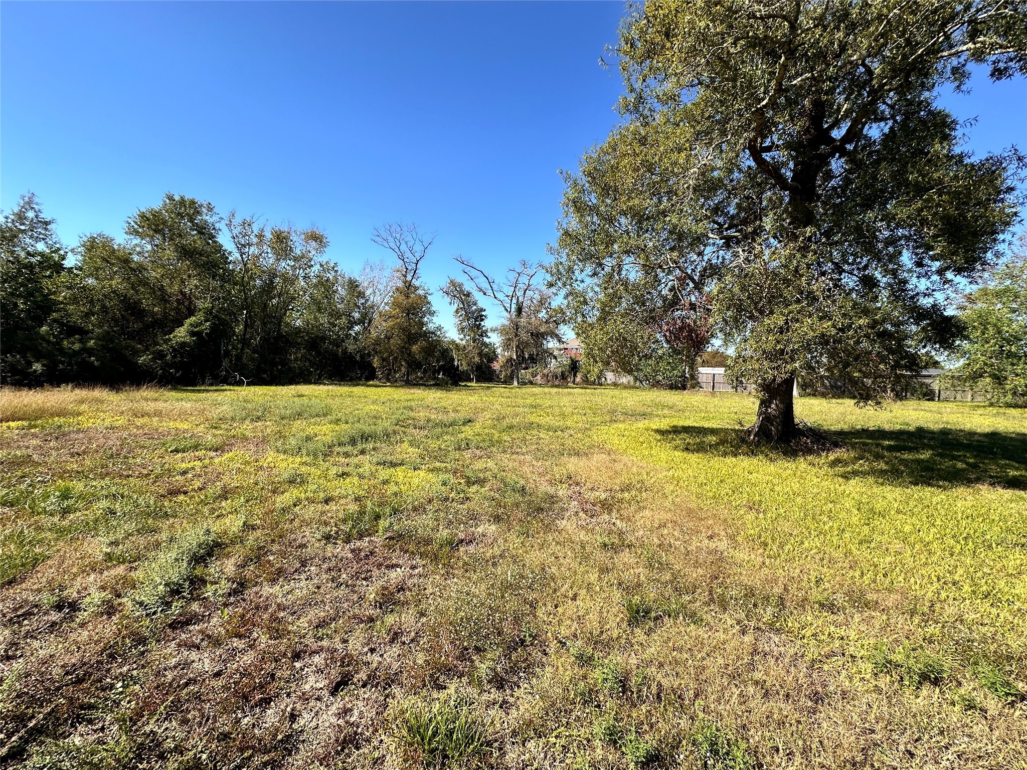 0 Yaupon Drive Property Photo 4