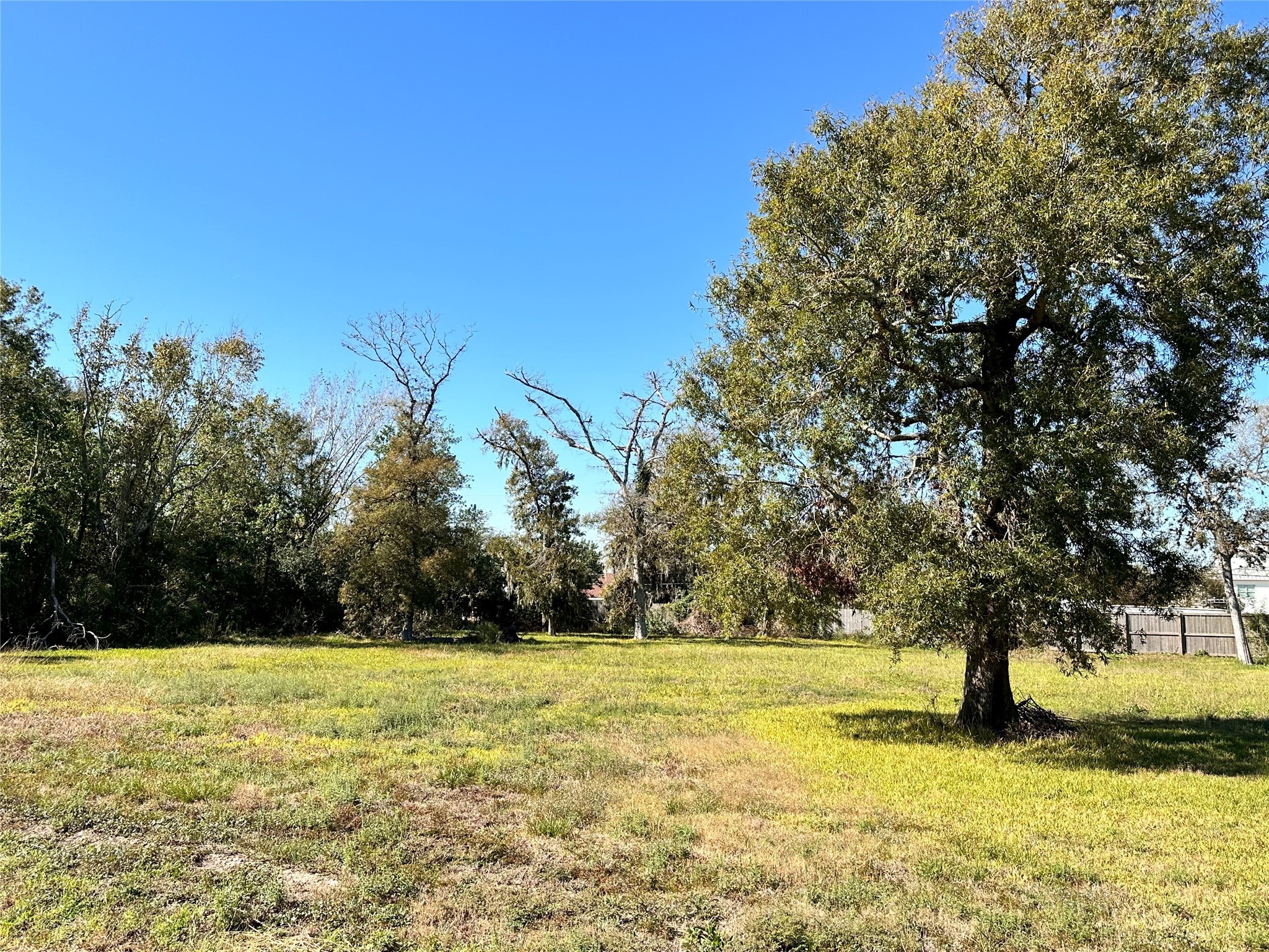 0 Yaupon Drive Property Photo 6