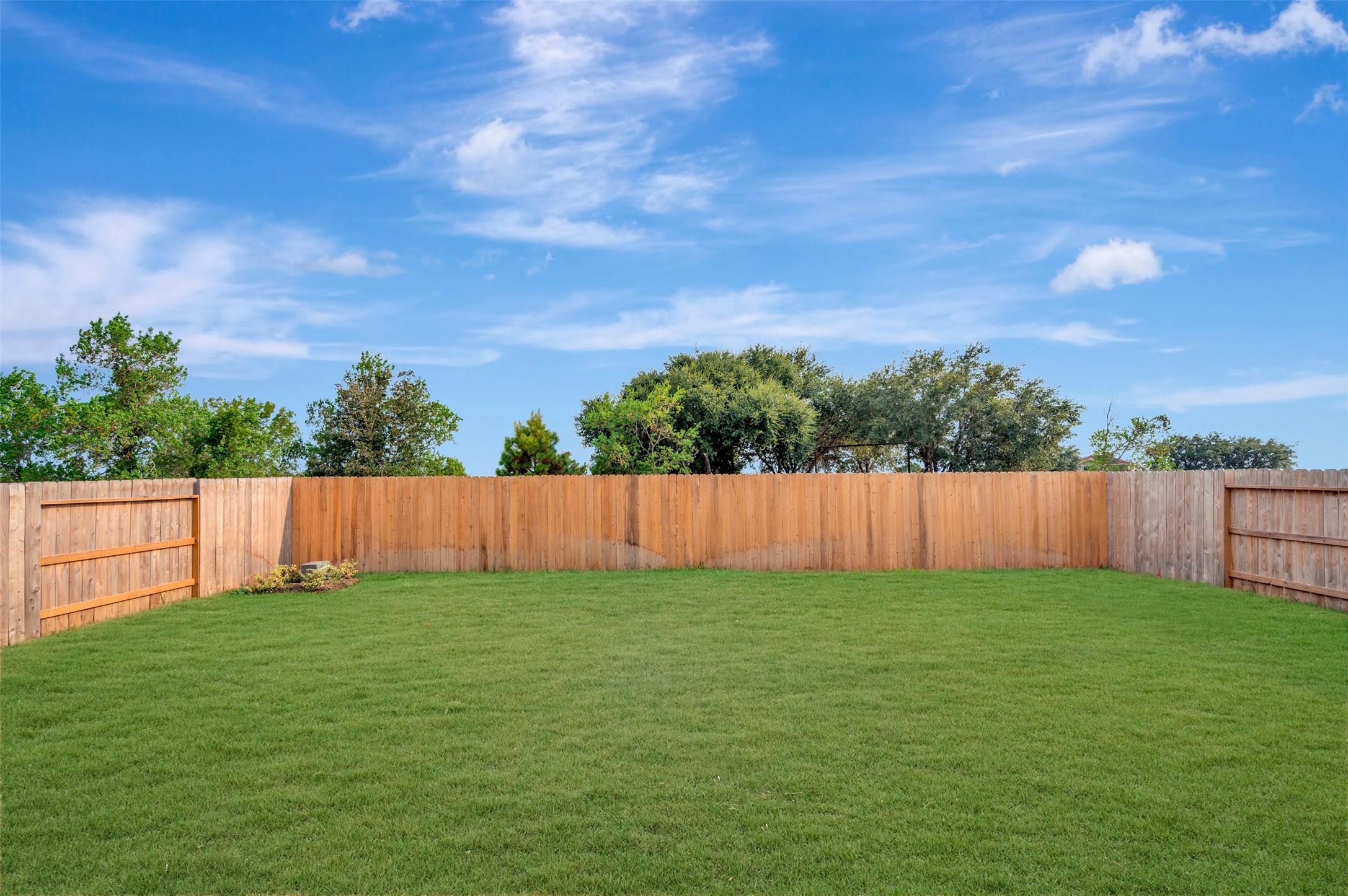 32123 Morning Luster Court Property Photo 7