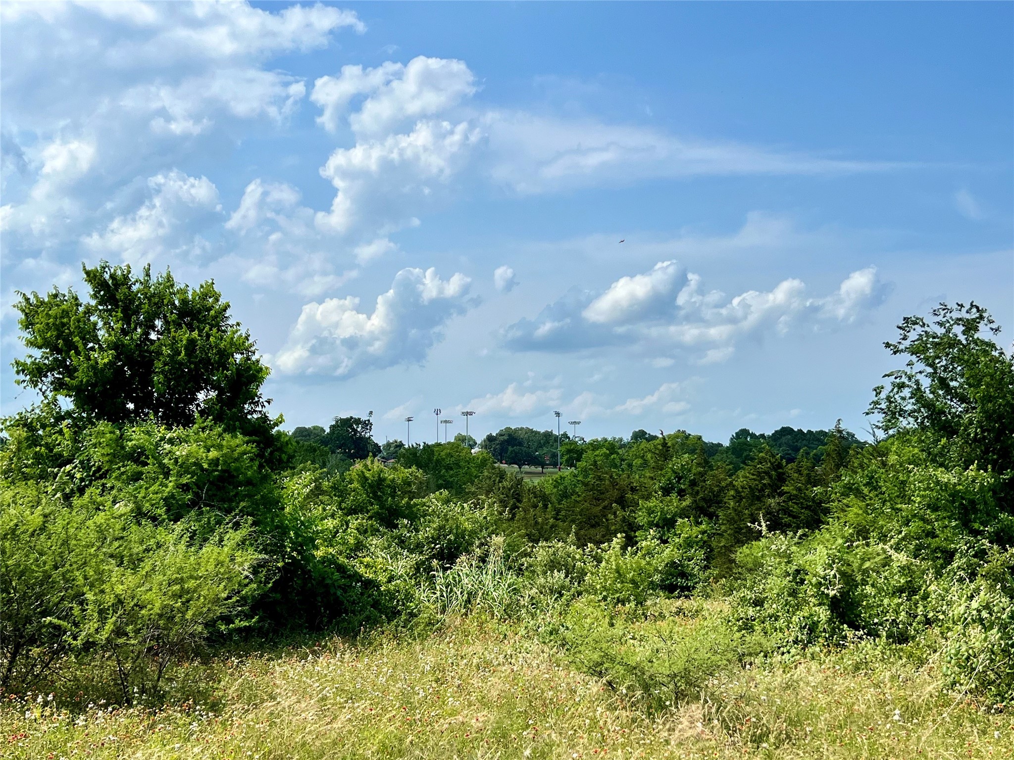 Tbd Hwy 290 Property Photo