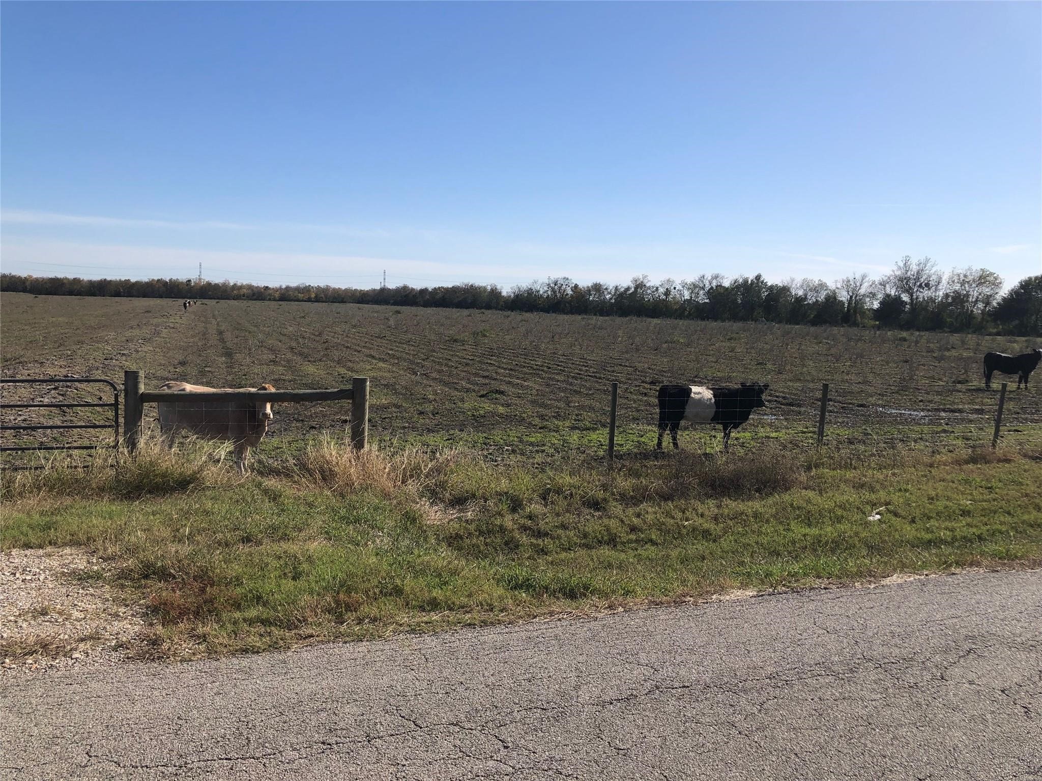00 Dannhaus Road Property Photo 11